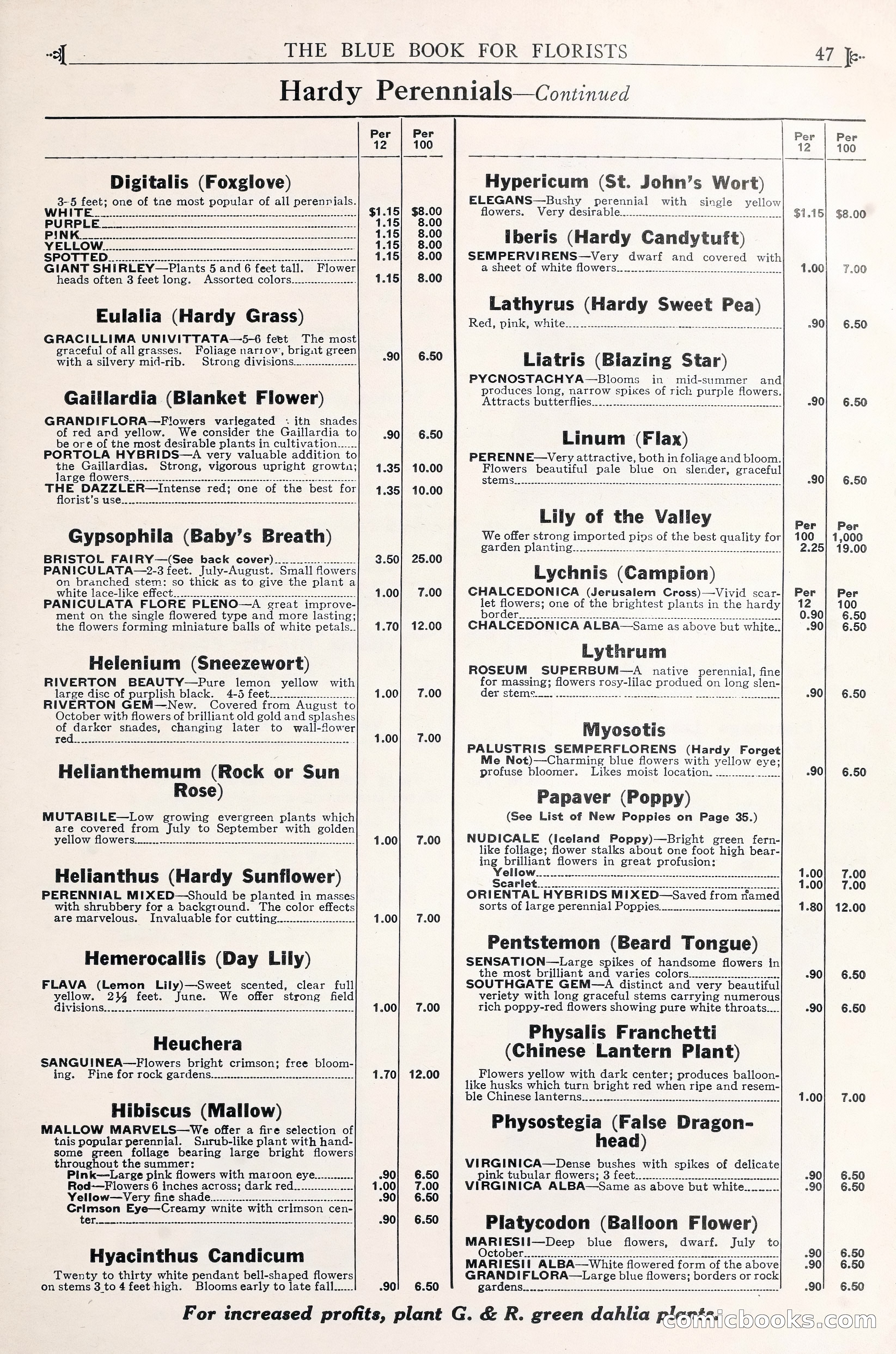 Good & Reese Co.'s Blue Book for Florists — page 51 of 58