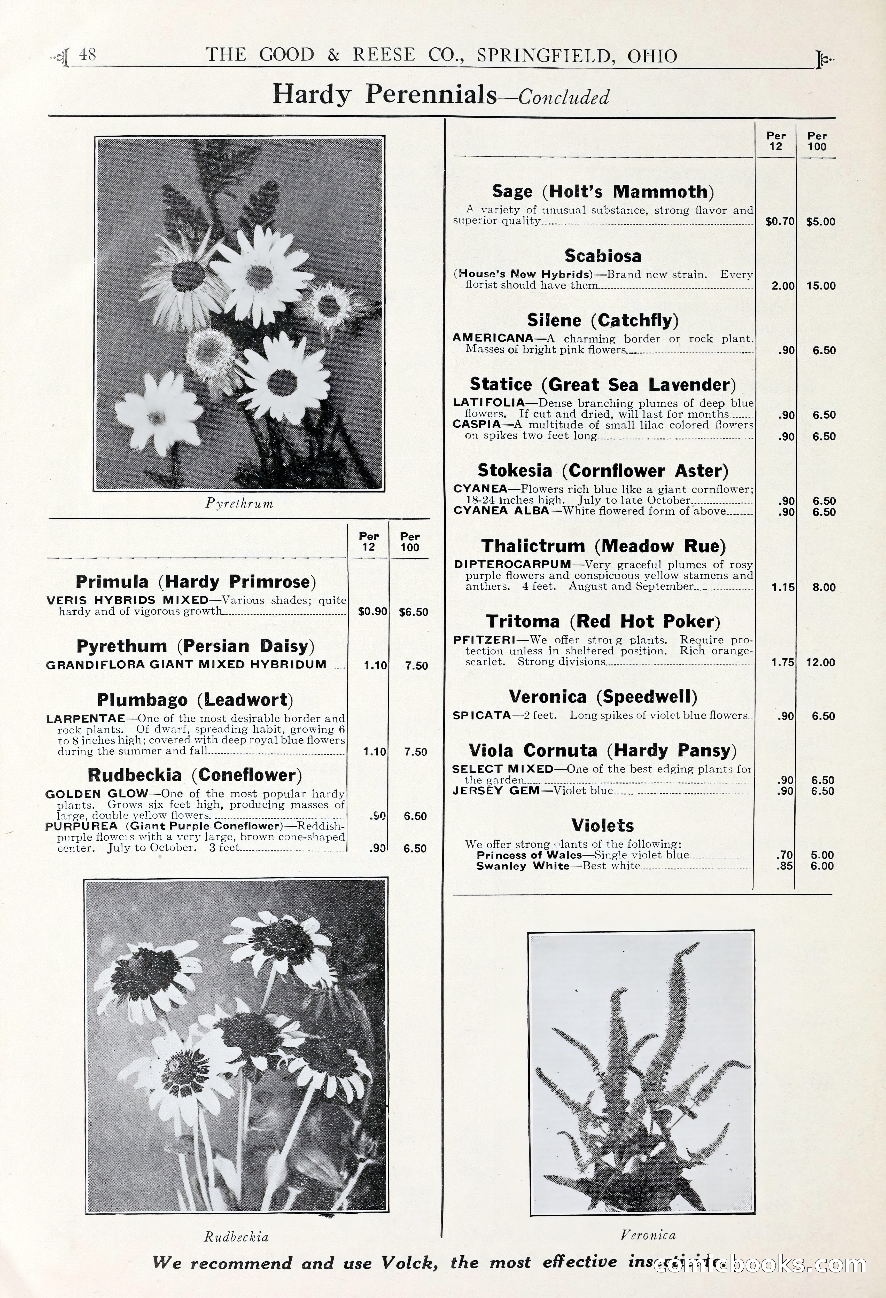 Good & Reese Co.'s Blue Book for Florists — page 52 of 58