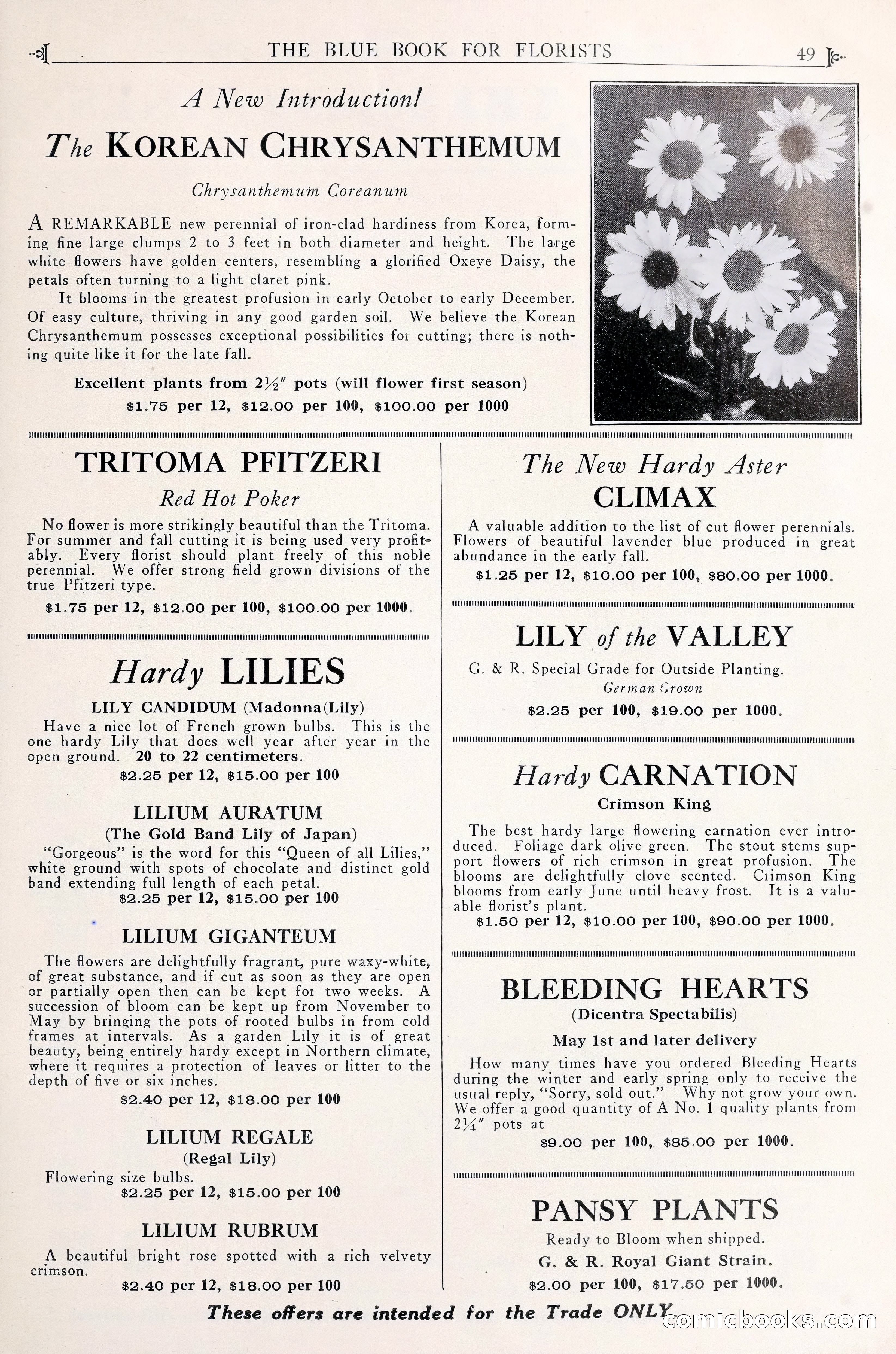 Good & Reese Co.'s Blue Book for Florists — page 53 of 58