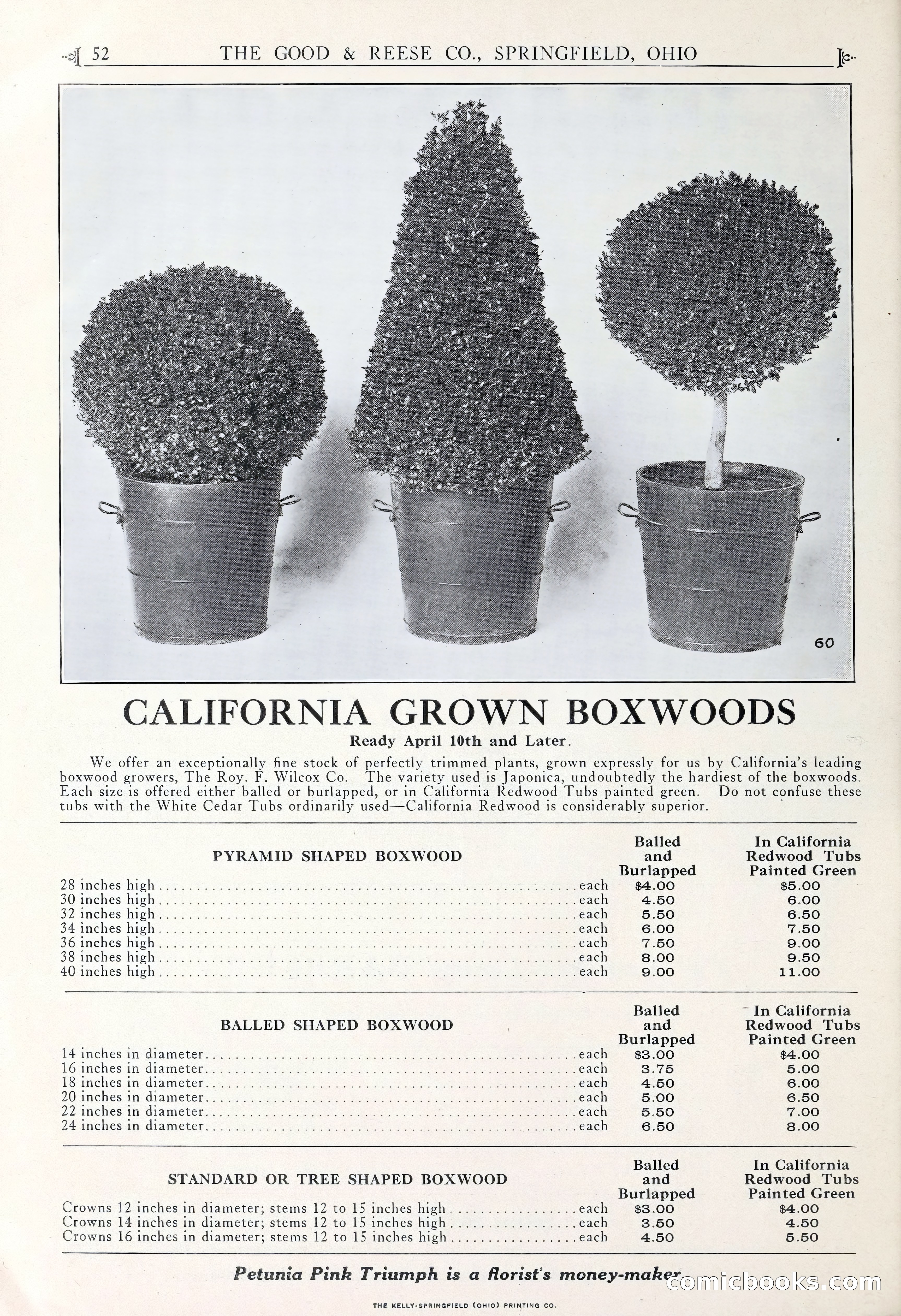 Good & Reese Co.'s Blue Book for Florists — page 56 of 58