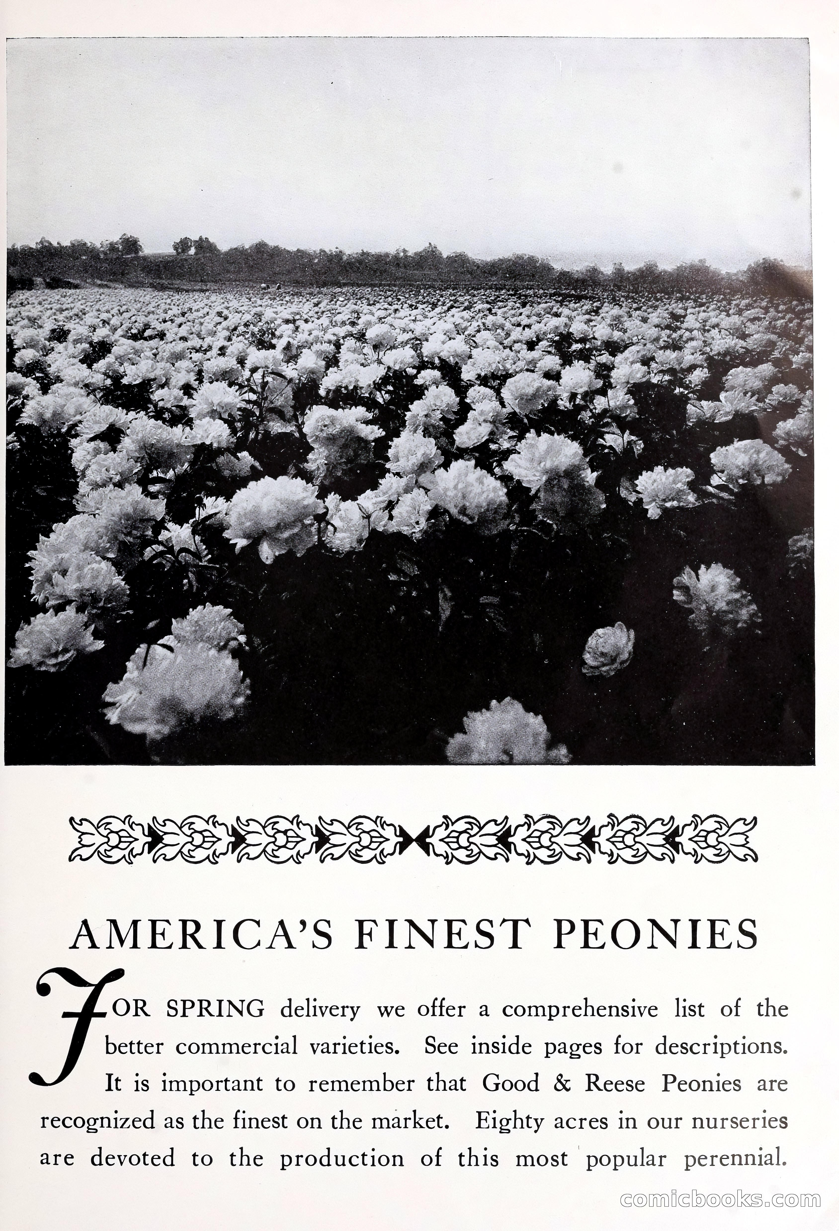 Good & Reese Co.'s Blue Book for Florists — page 57 of 58