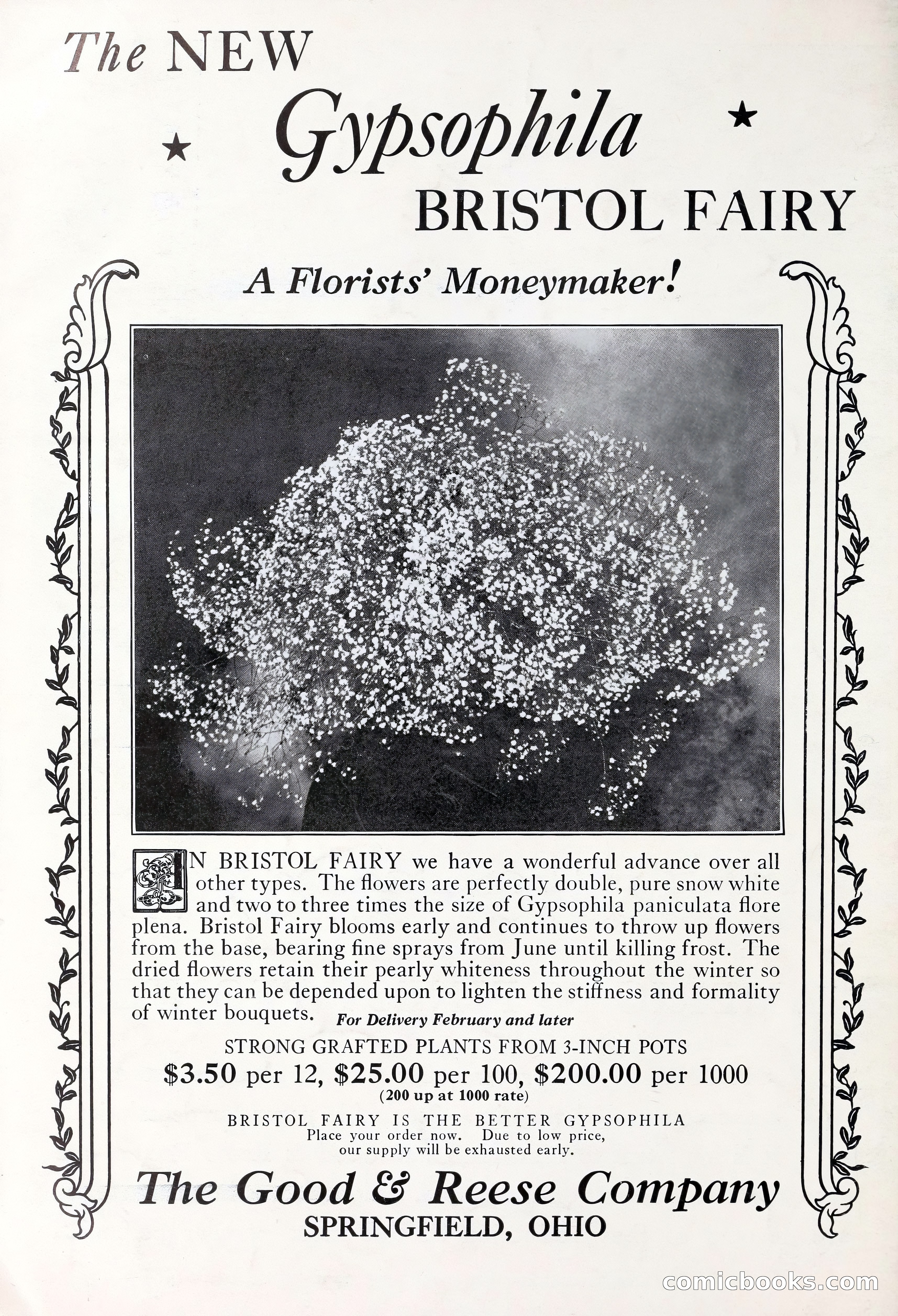 Good & Reese Co.'s Blue Book for Florists — page 58 of 58