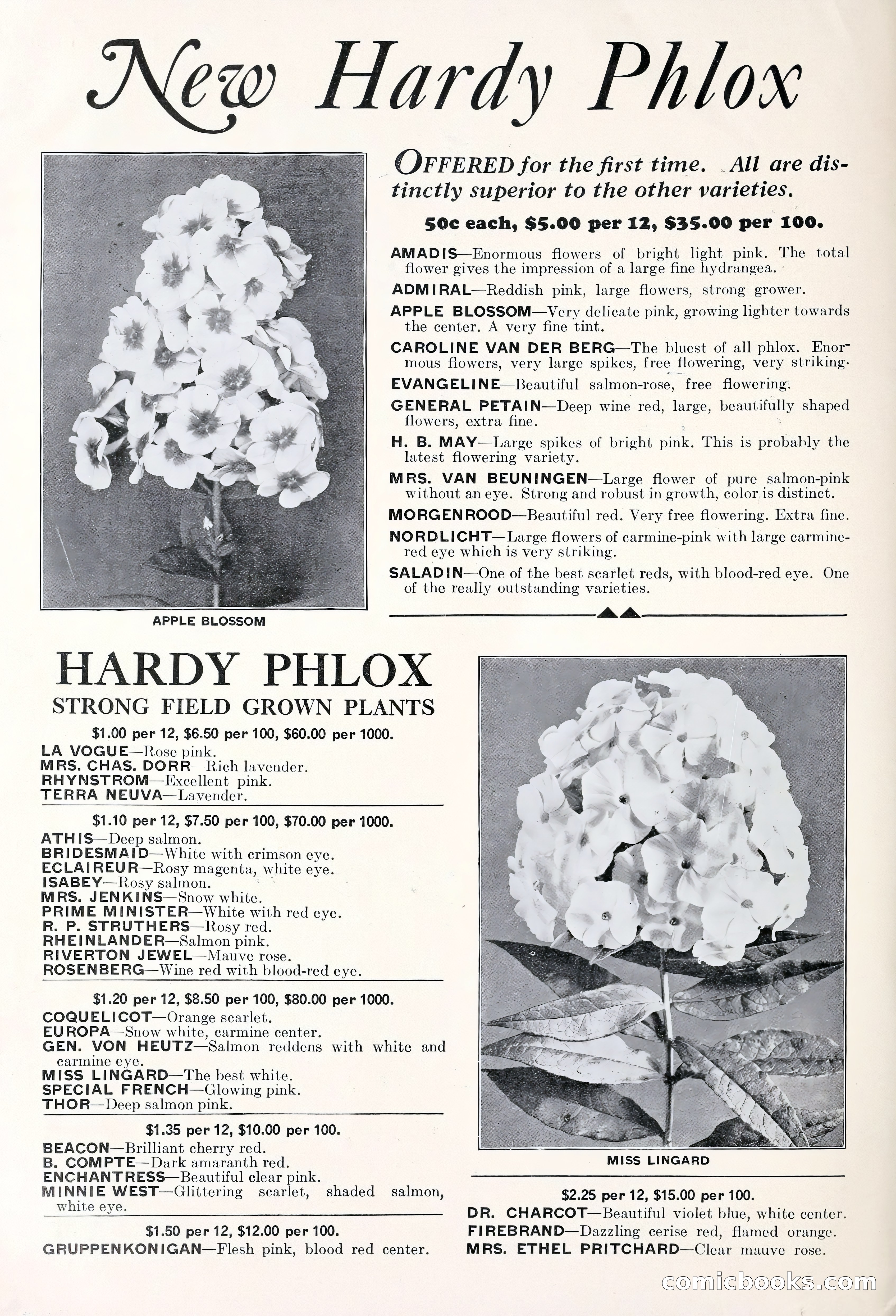 Good & Reese Co.'s Blue Book for Florists: Autumn 1930 — page 4 of 56