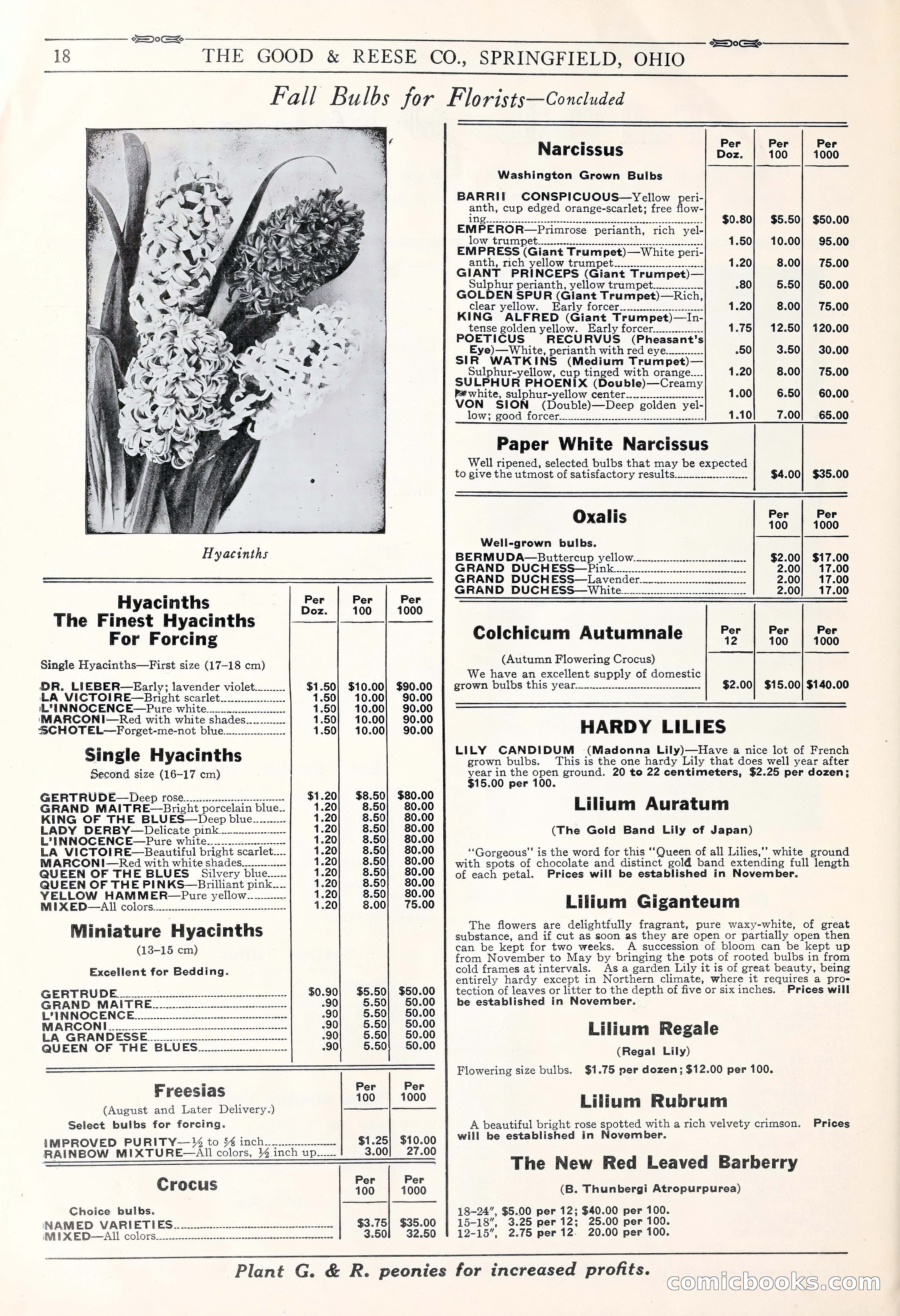 Good & Reese Co.'s Blue Book for Florists: Autumn 1930 — page 24 of 56