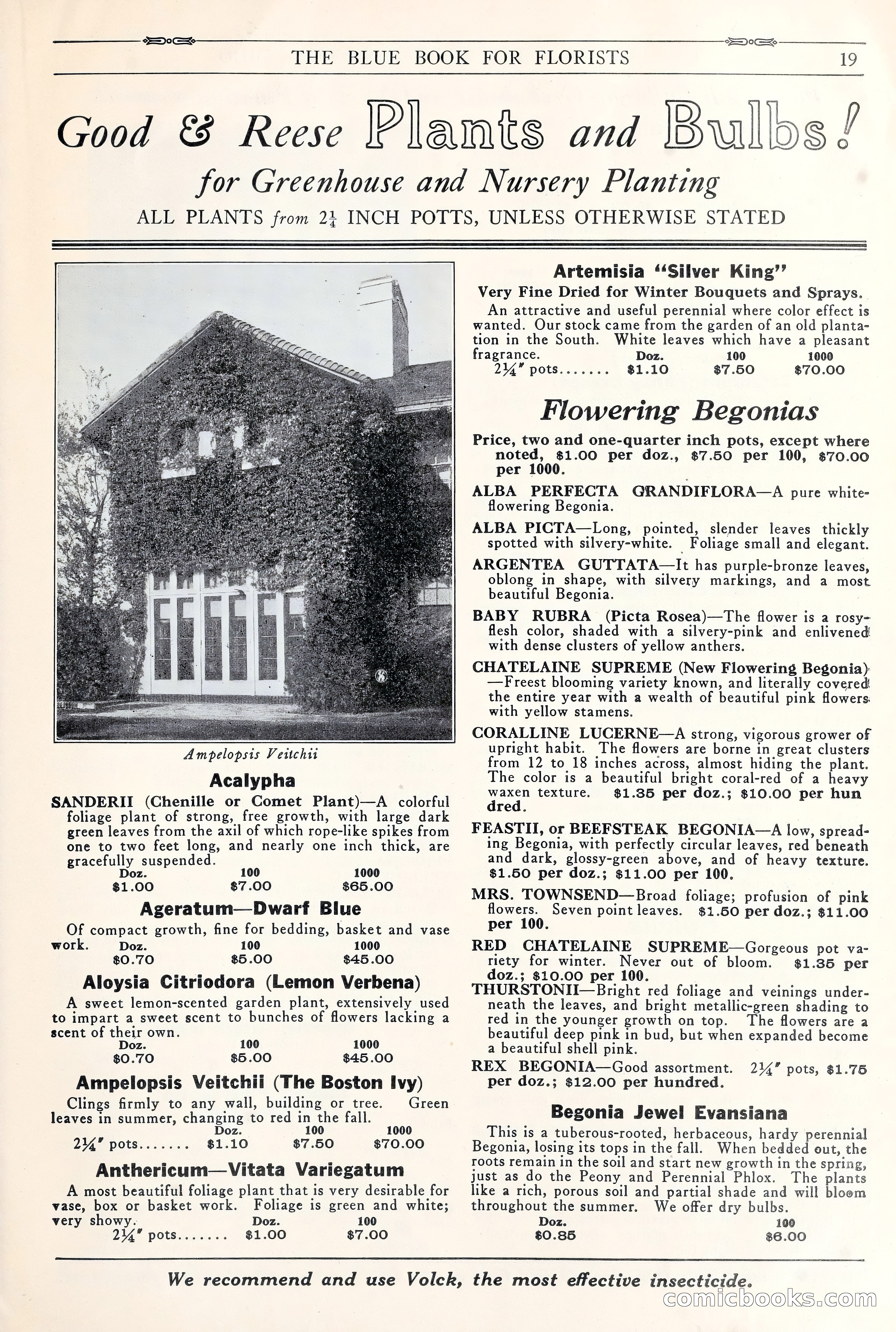 Good & Reese Co.'s Blue Book for Florists: Autumn 1930 — page 25 of 56