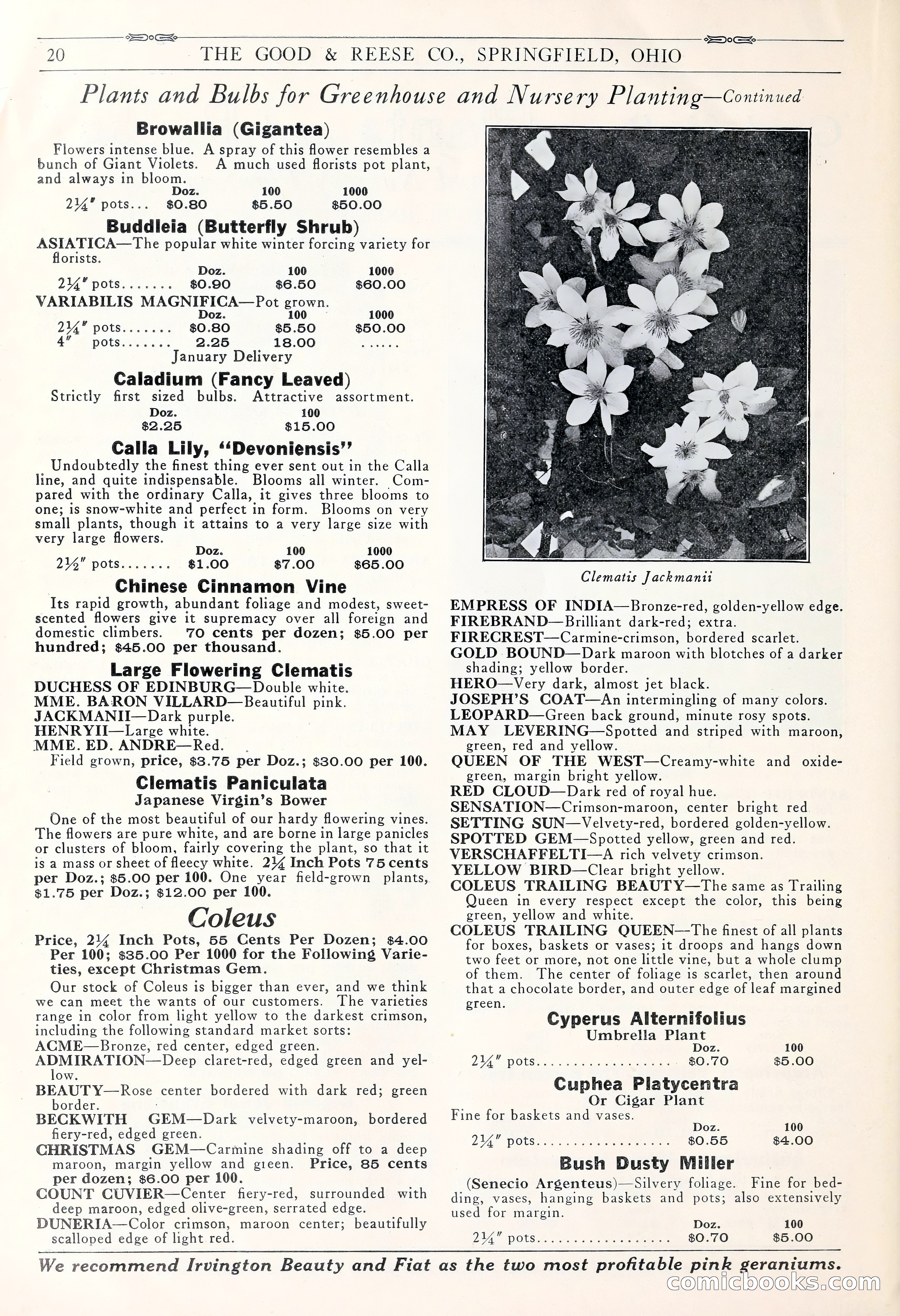 Good & Reese Co.'s Blue Book for Florists: Autumn 1930 — page 26 of 56