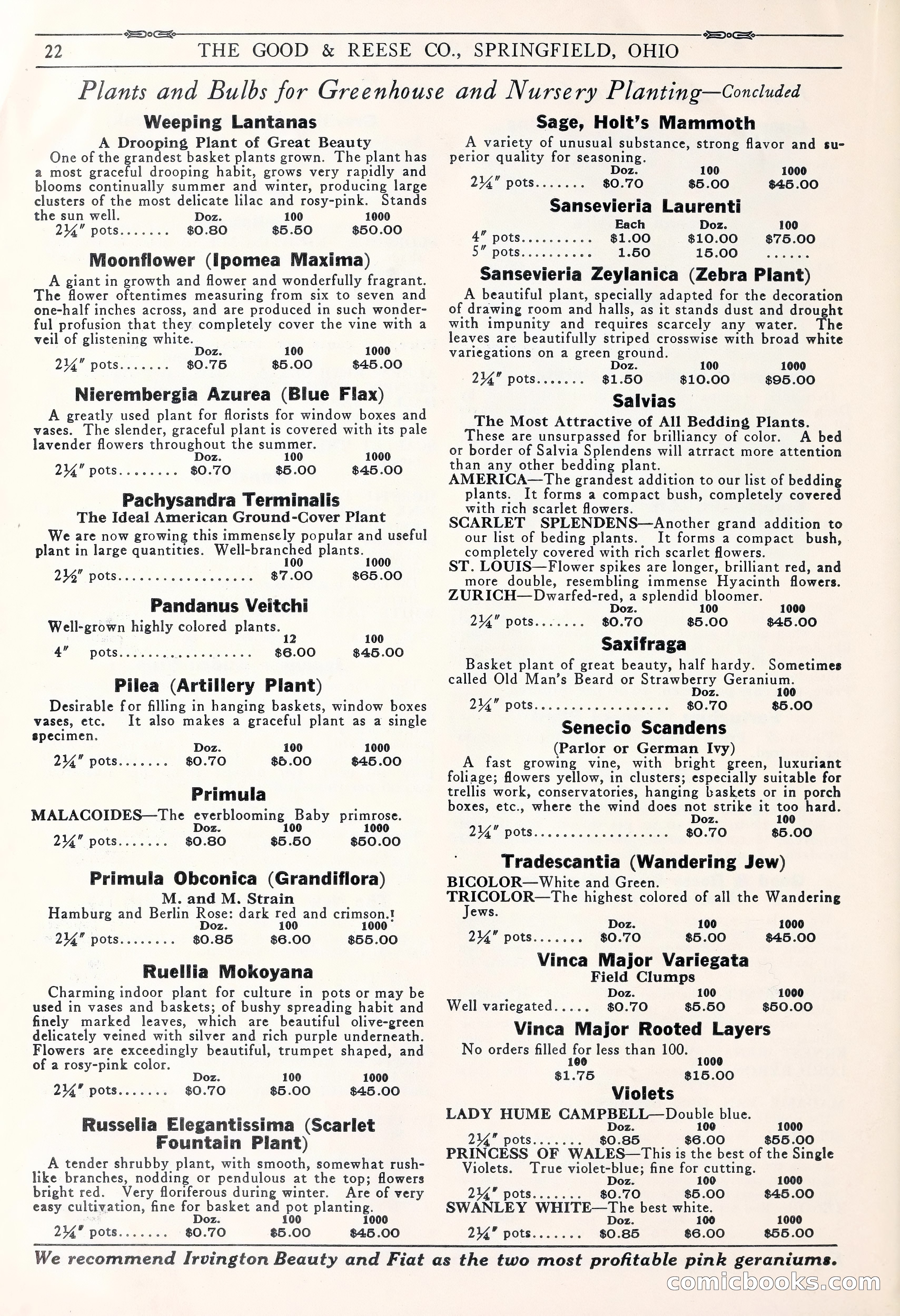Good & Reese Co.'s Blue Book for Florists: Autumn 1930 — page 28 of 56