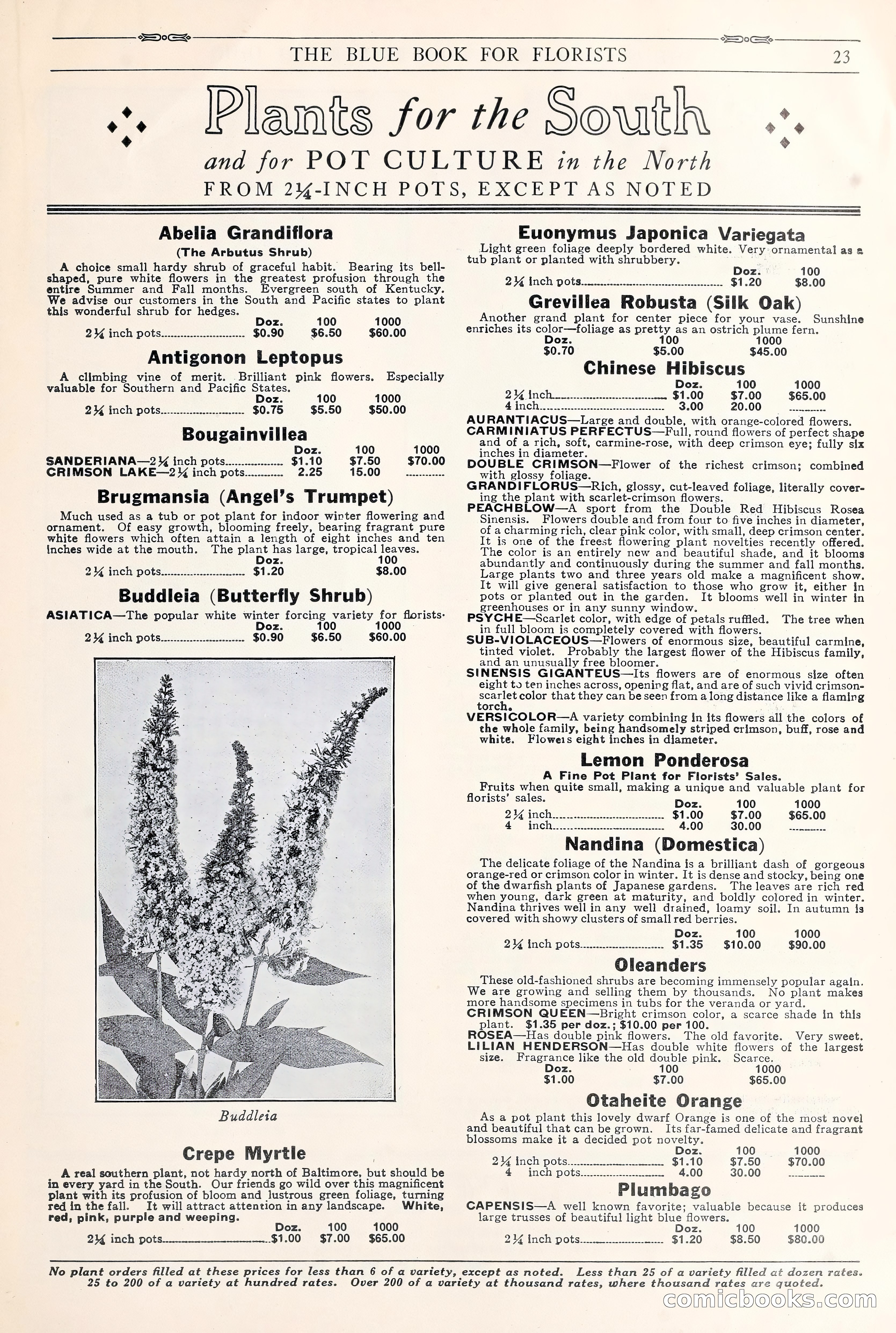 Good & Reese Co.'s Blue Book for Florists: Autumn 1930 — page 29 of 56
