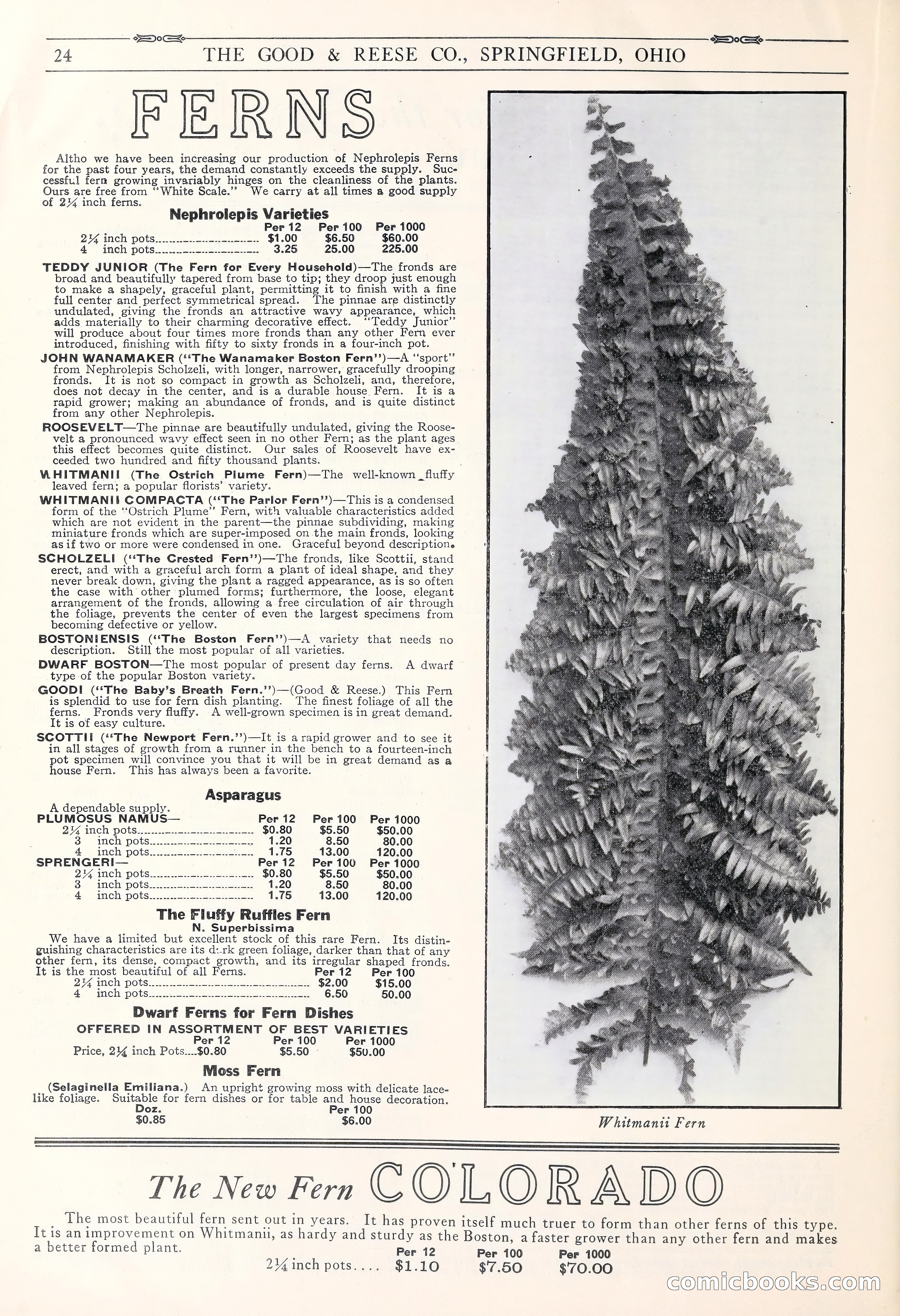 Good & Reese Co.'s Blue Book for Florists: Autumn 1930 — page 30 of 56