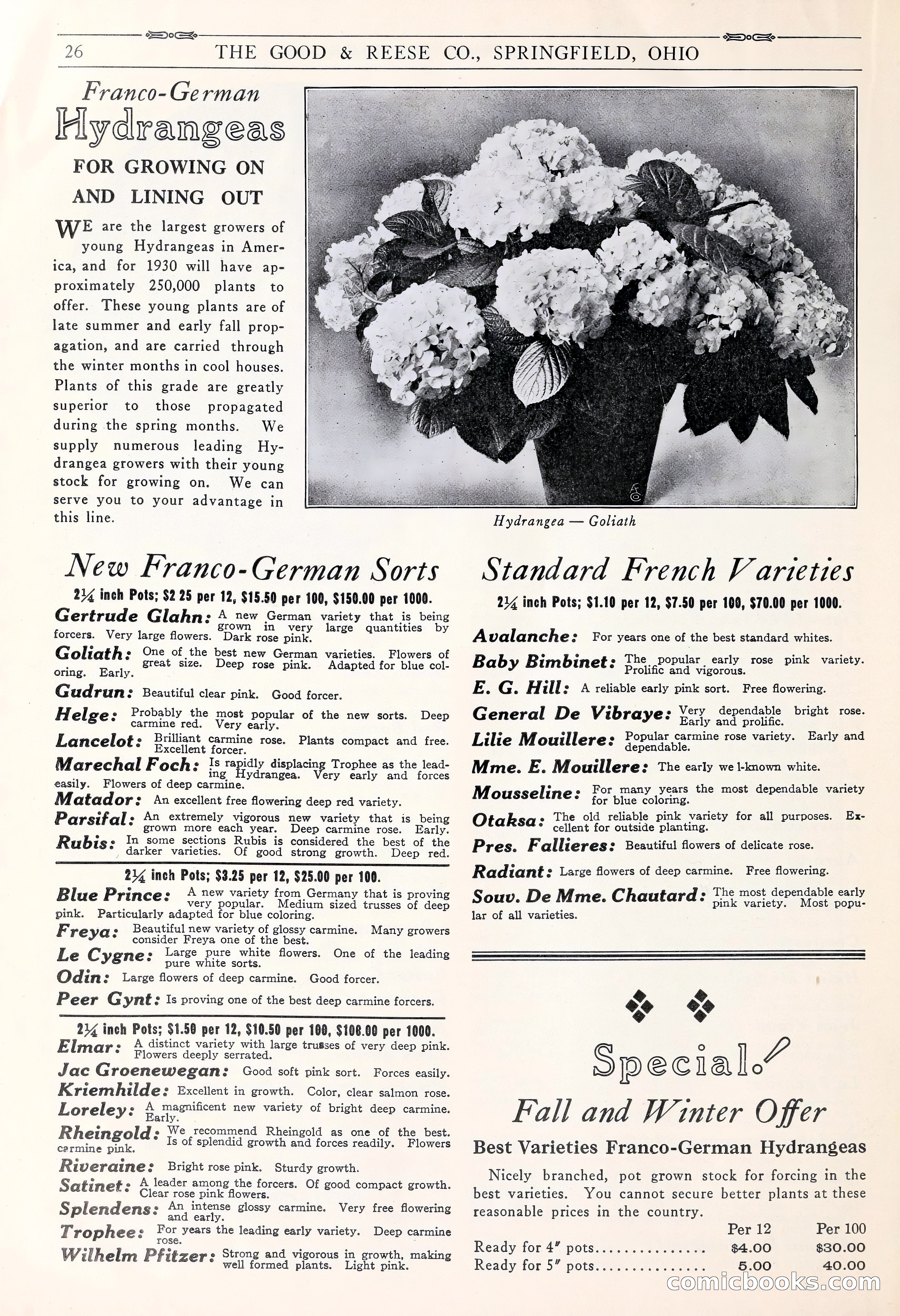 Good & Reese Co.'s Blue Book for Florists: Autumn 1930 — page 32 of 56