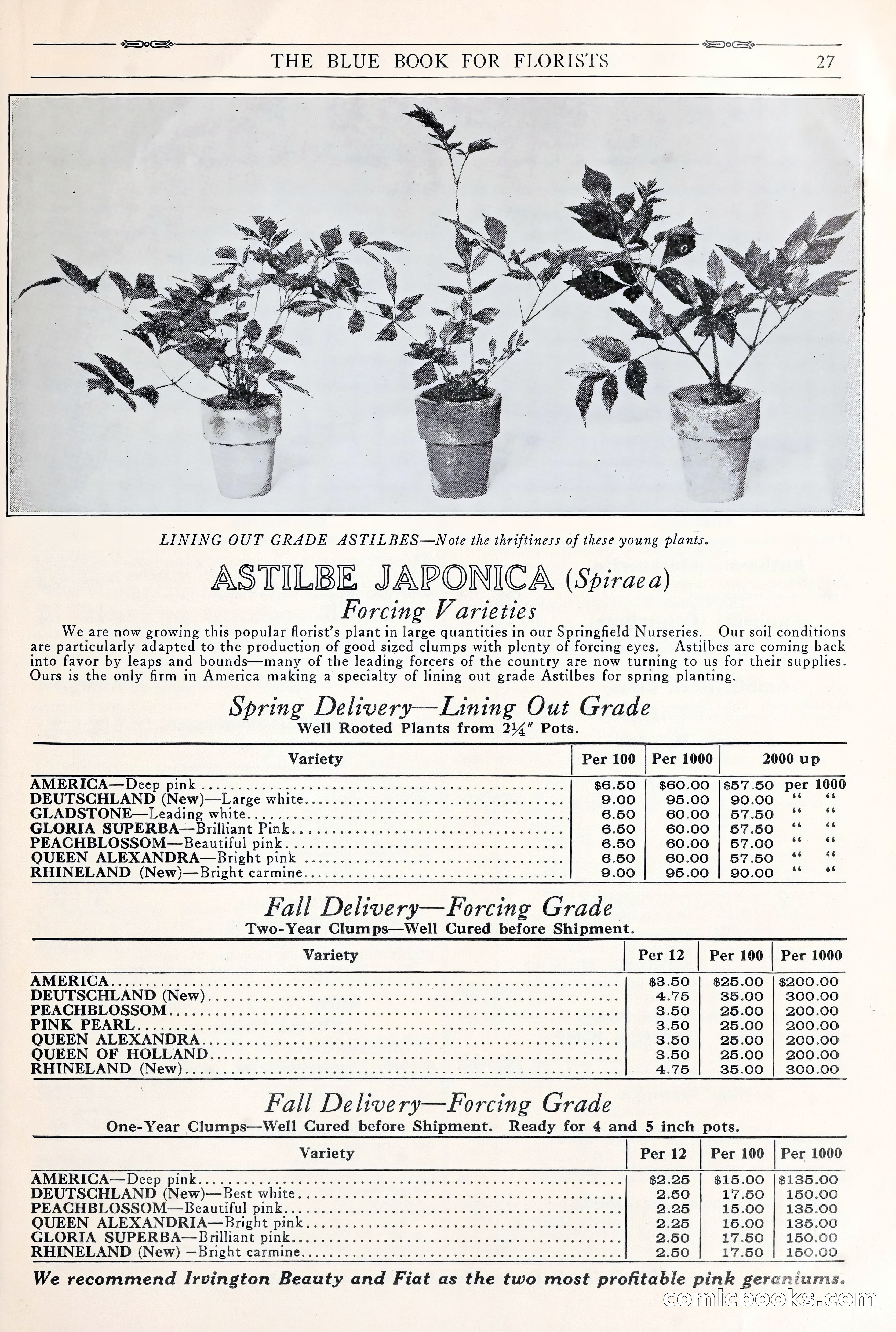 Good & Reese Co.'s Blue Book for Florists: Autumn 1930 — page 33 of 56