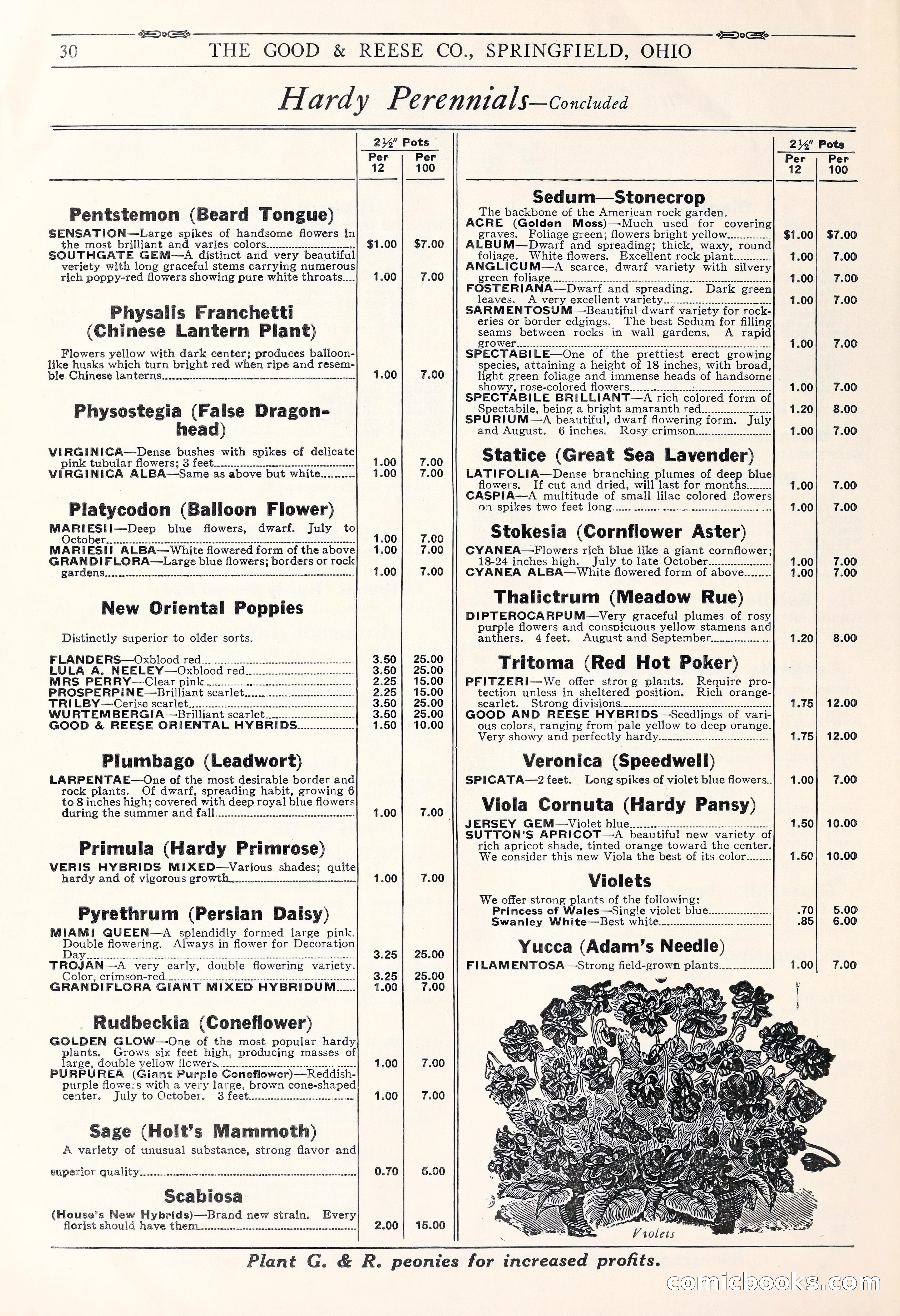 Good & Reese Co.'s Blue Book for Florists: Autumn 1930 — page 36 of 56
