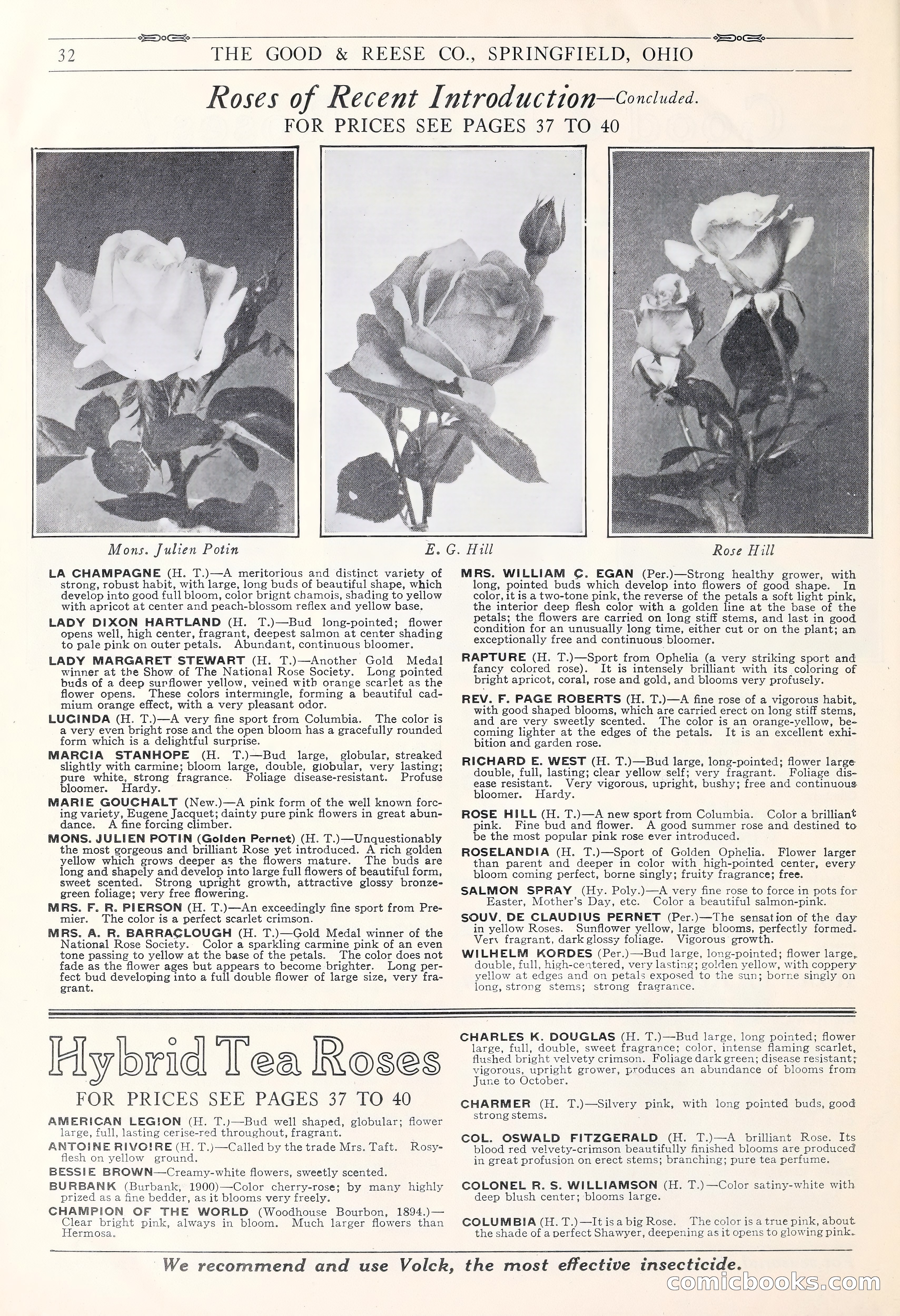 Good & Reese Co.'s Blue Book for Florists: Autumn 1930 — page 38 of 56