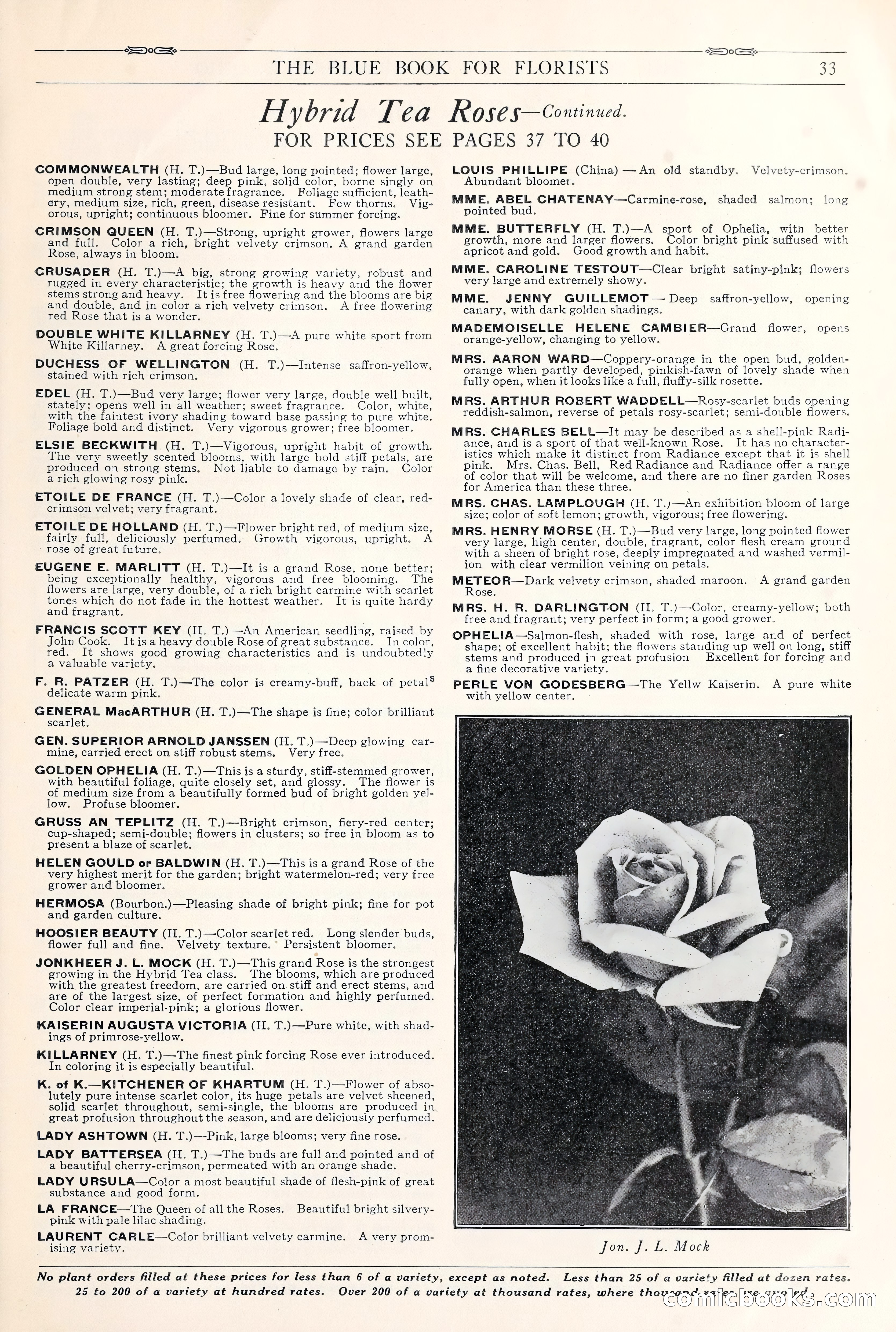 Good & Reese Co.'s Blue Book for Florists: Autumn 1930 — page 39 of 56
