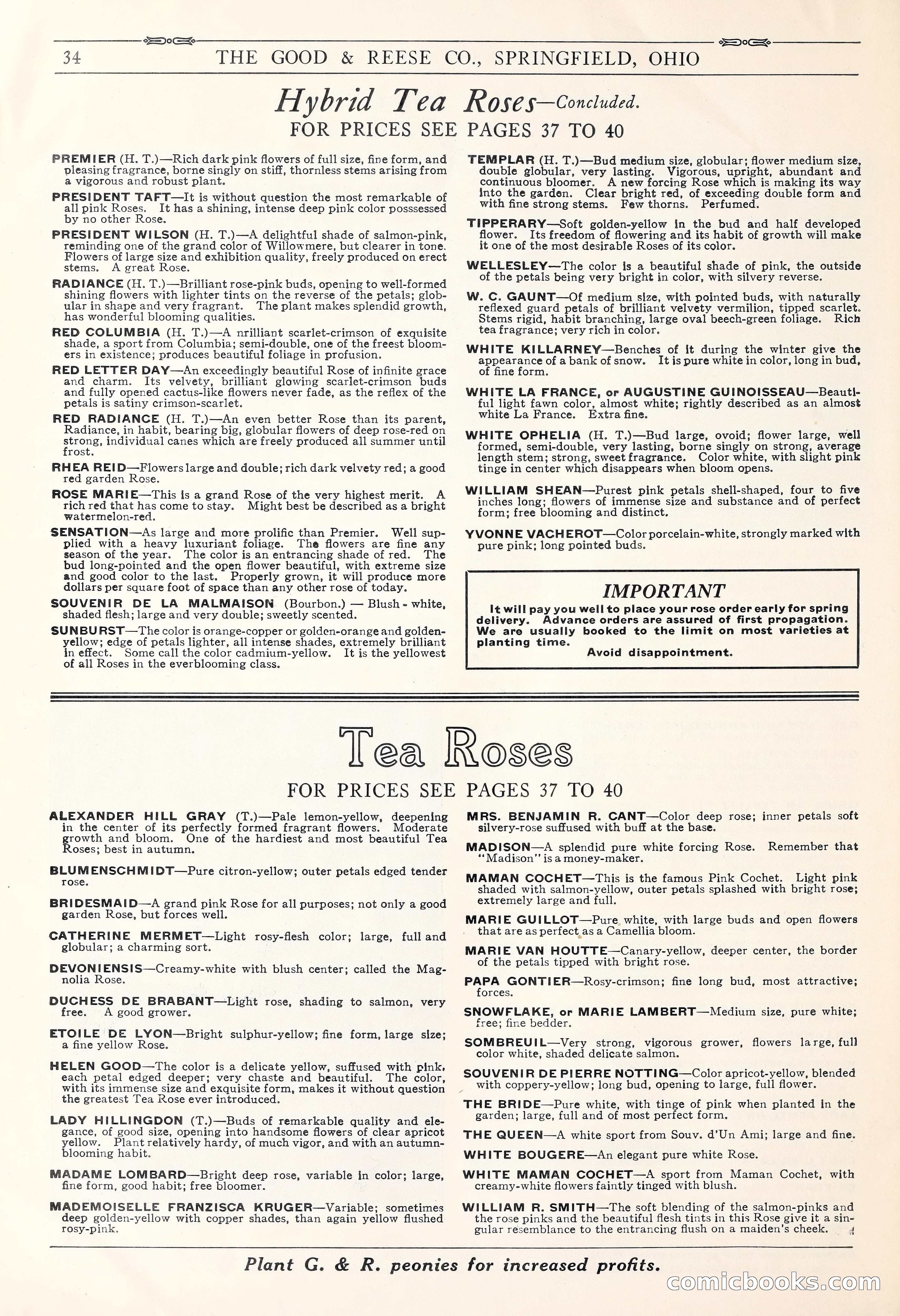 Good & Reese Co.'s Blue Book for Florists: Autumn 1930 — page 40 of 56