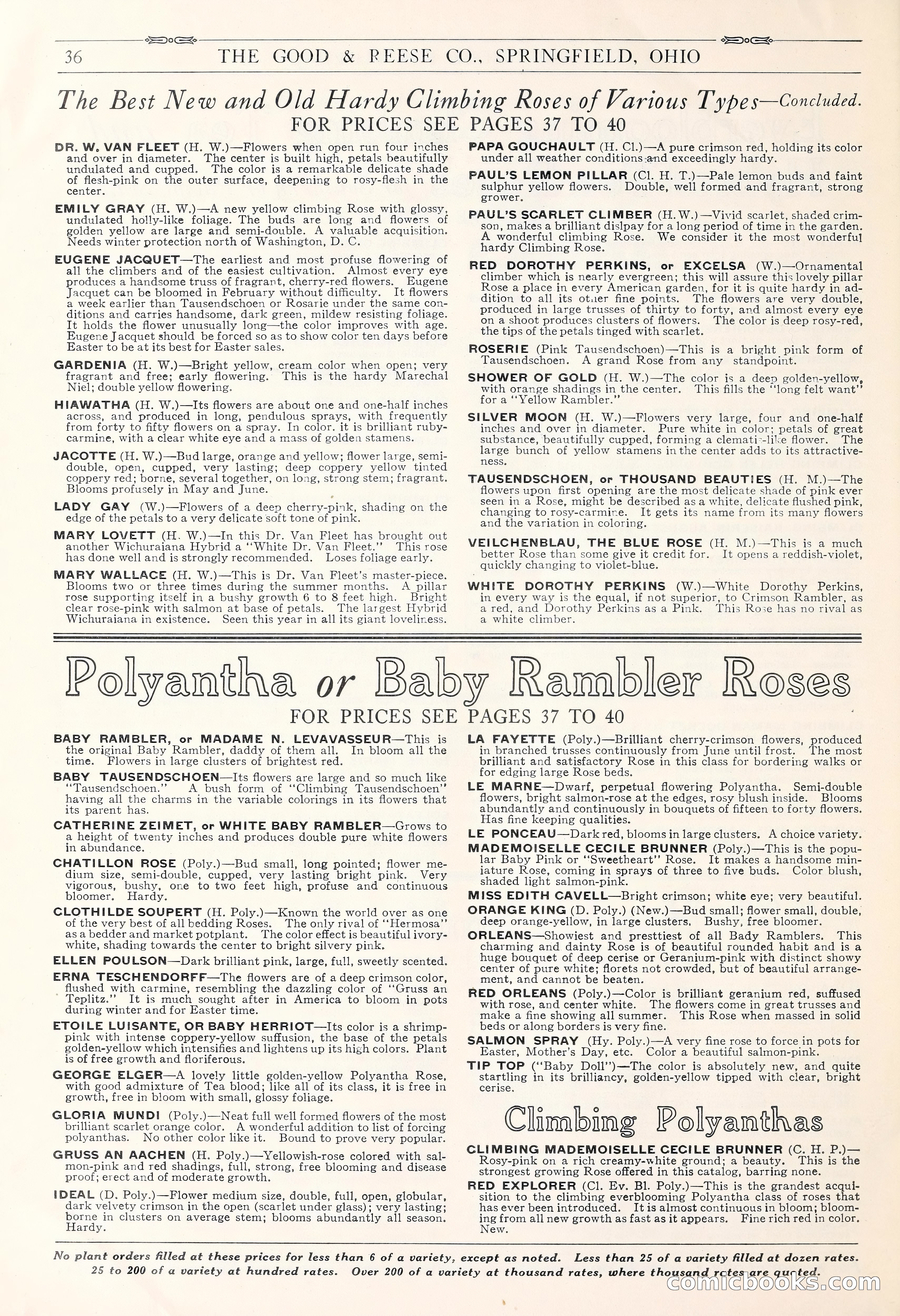 Good & Reese Co.'s Blue Book for Florists: Autumn 1930 — page 42 of 56