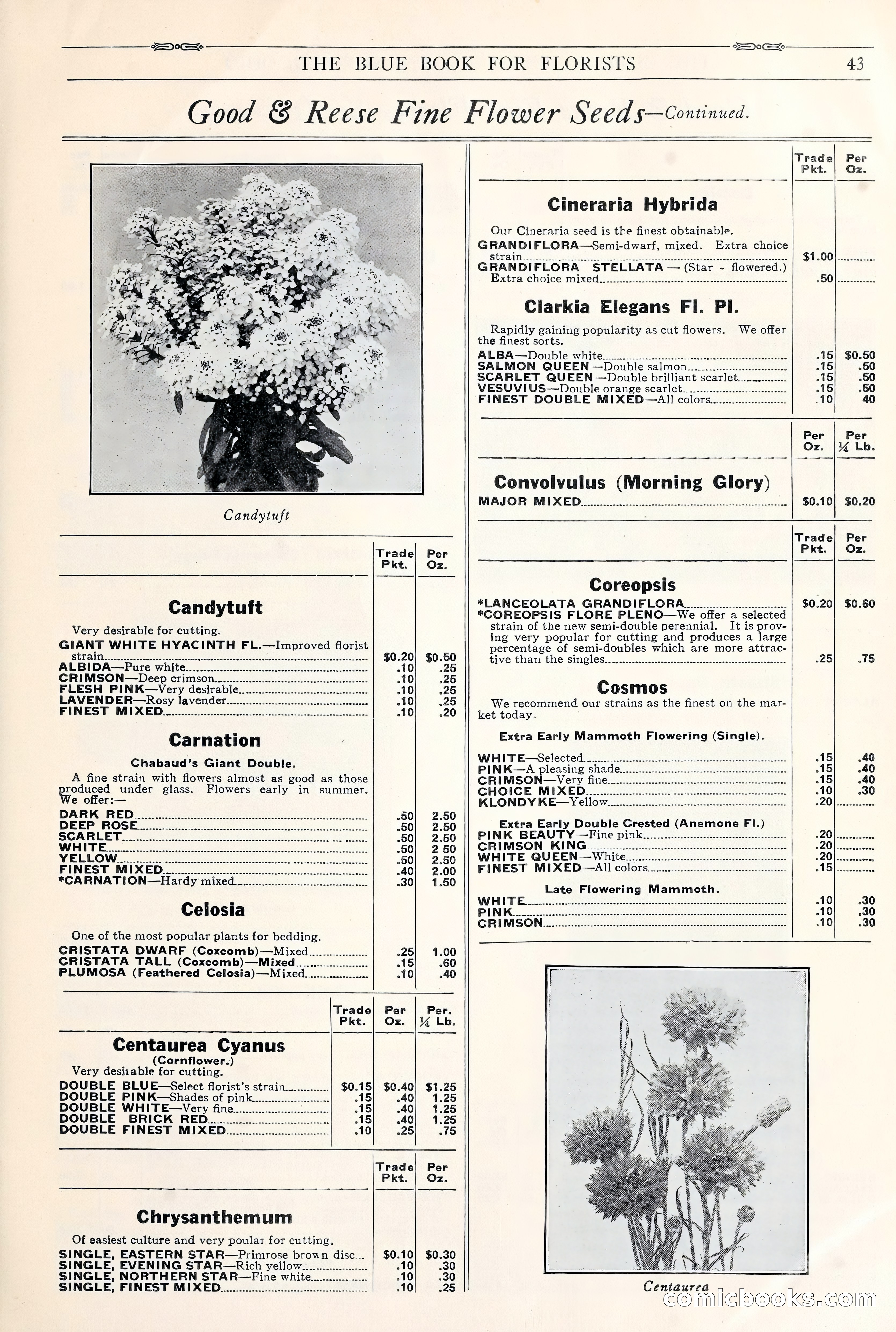 Good & Reese Co.'s Blue Book for Florists: Autumn 1930 — page 49 of 56