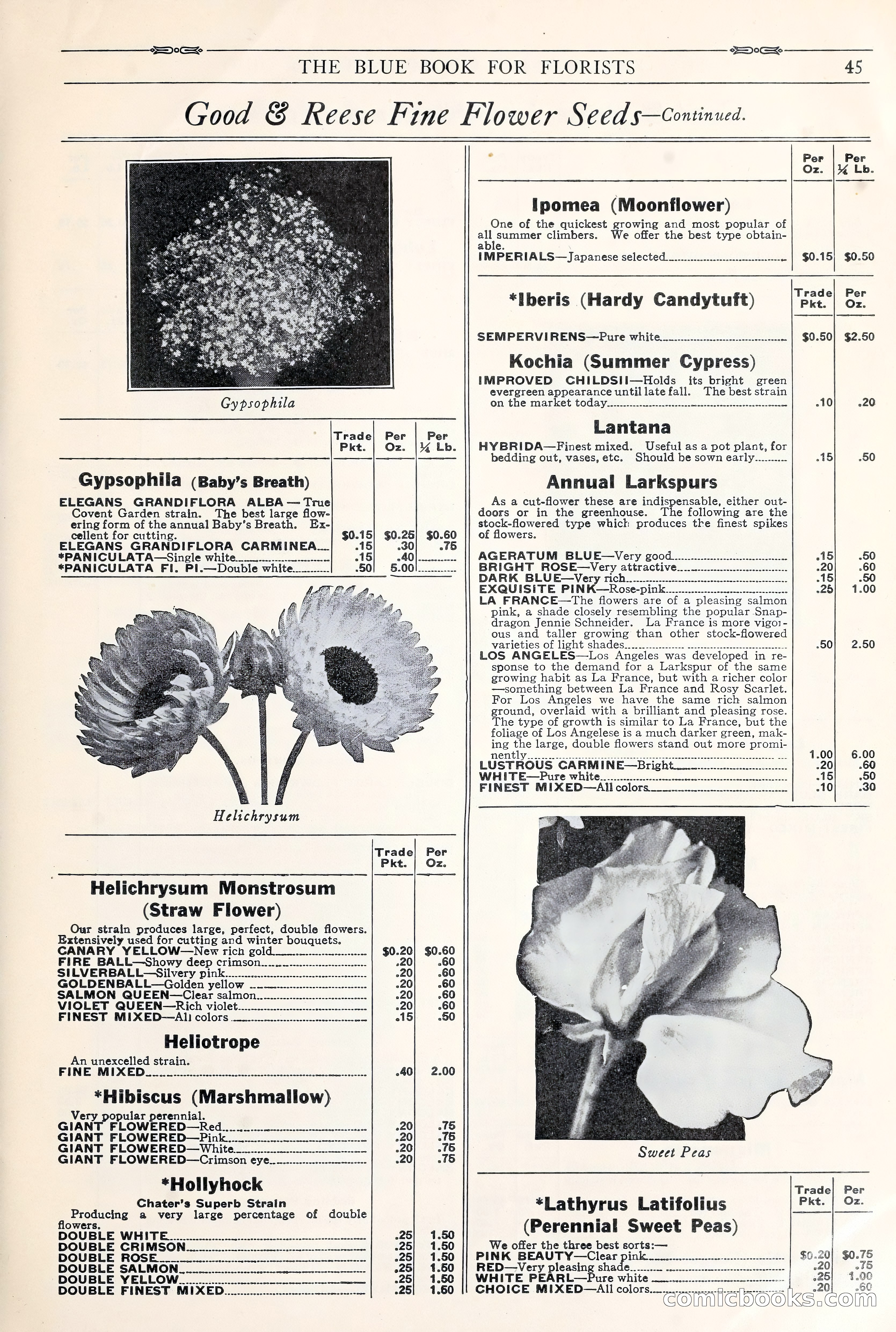 Good & Reese Co.'s Blue Book for Florists: Autumn 1930 — page 51 of 56