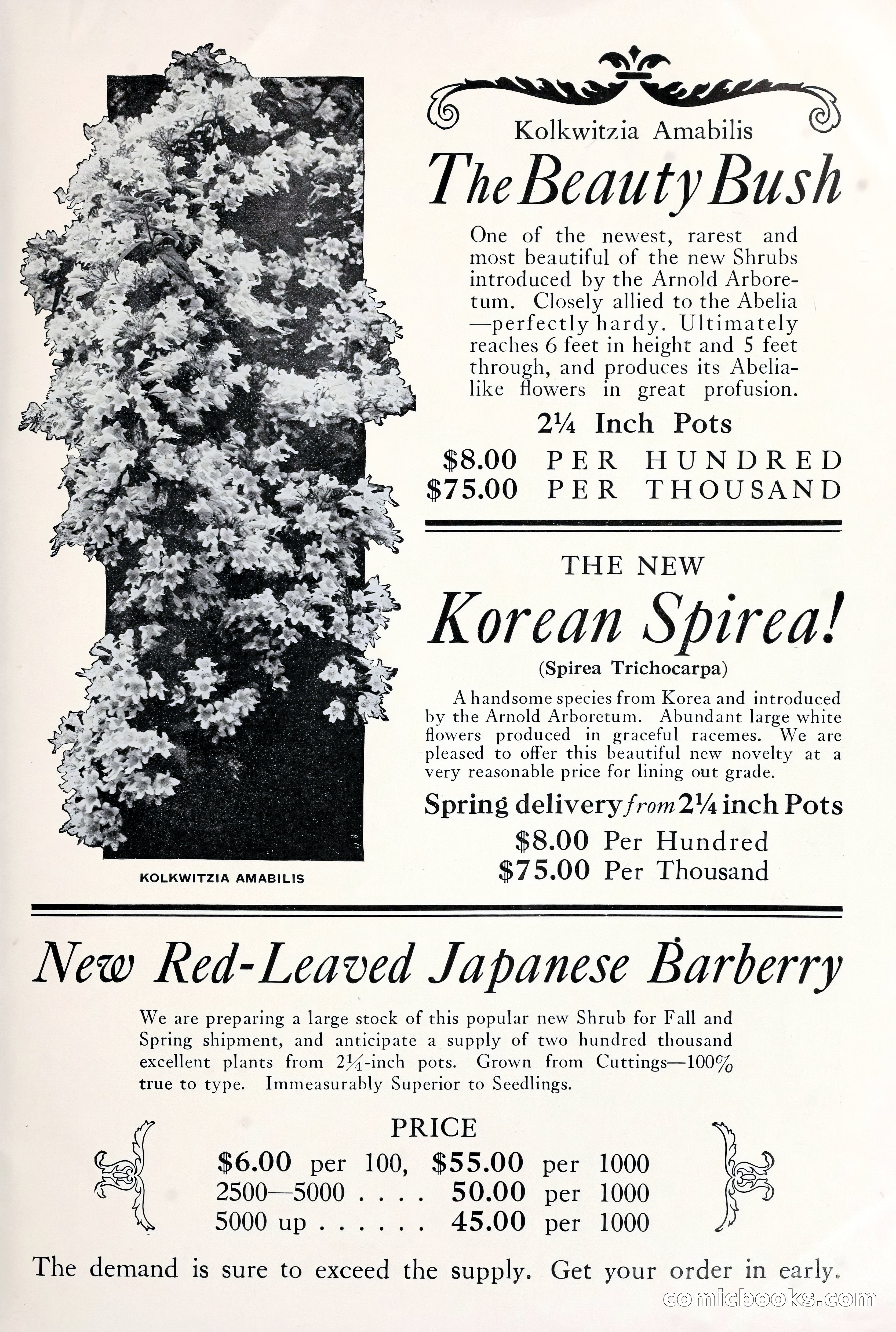 Good & Reese Co.'s Blue Book for Florists: Autumn 1930 — page 55 of 56