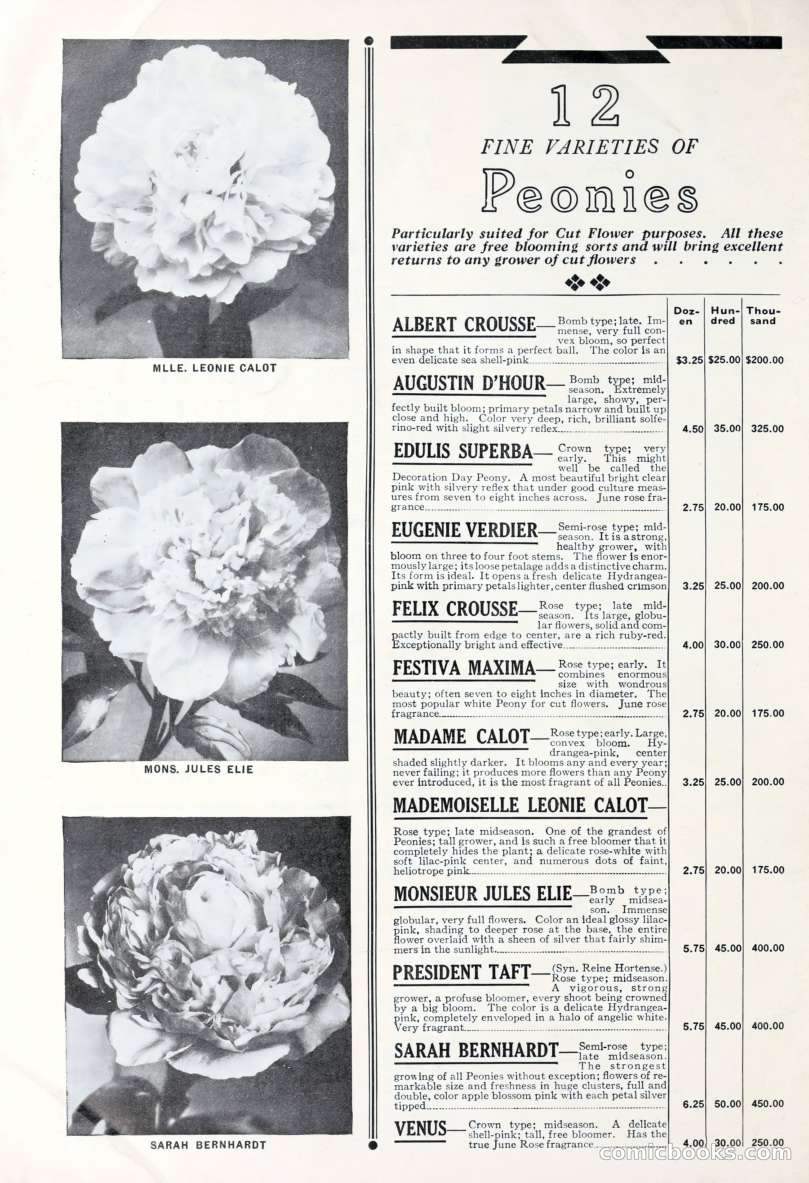 Good & Reese Co.'s Blue Book for Florists: Autumn 1930 — page 56 of 56