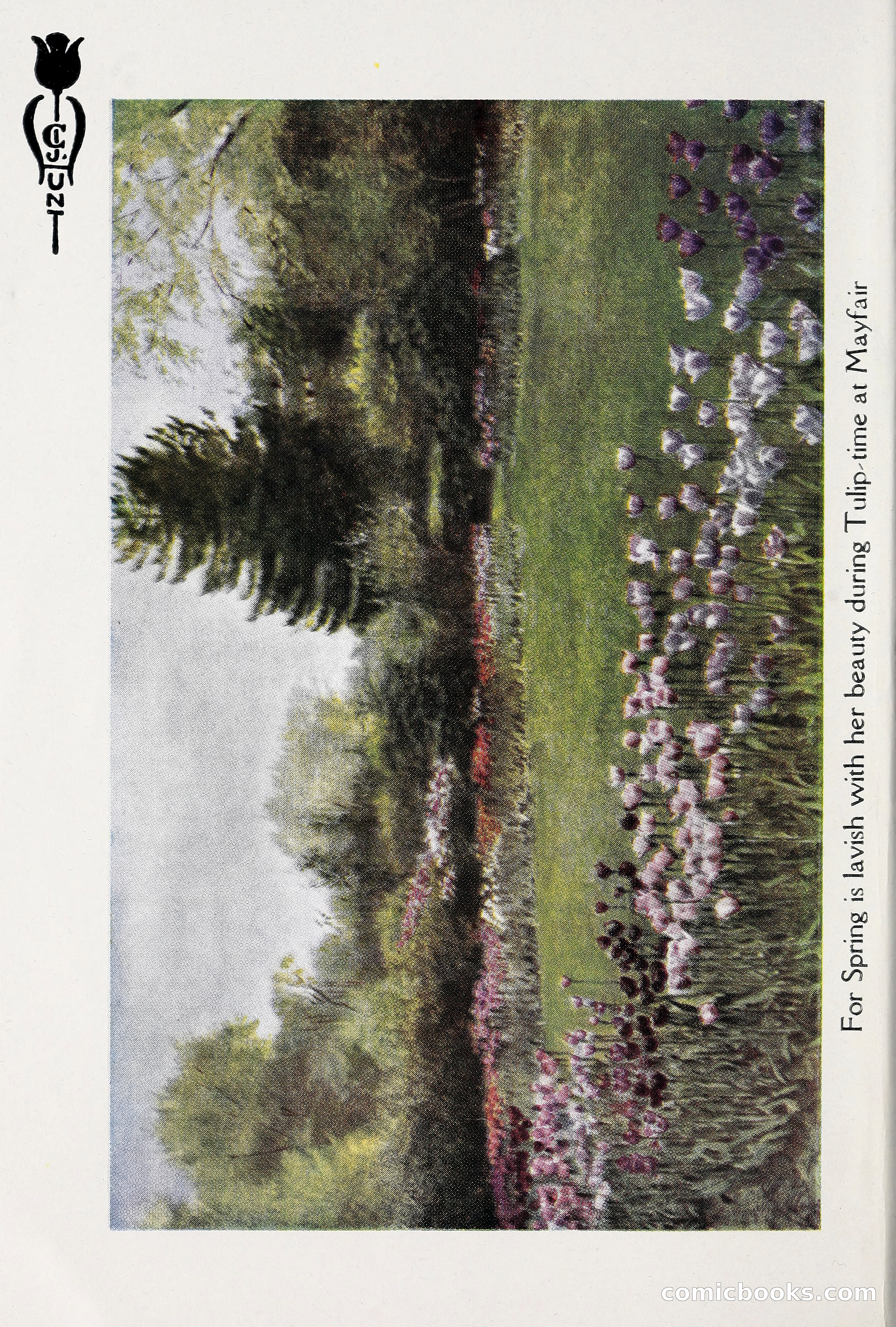 Blue Book of Bulbs, 1930 — page 7 of 137