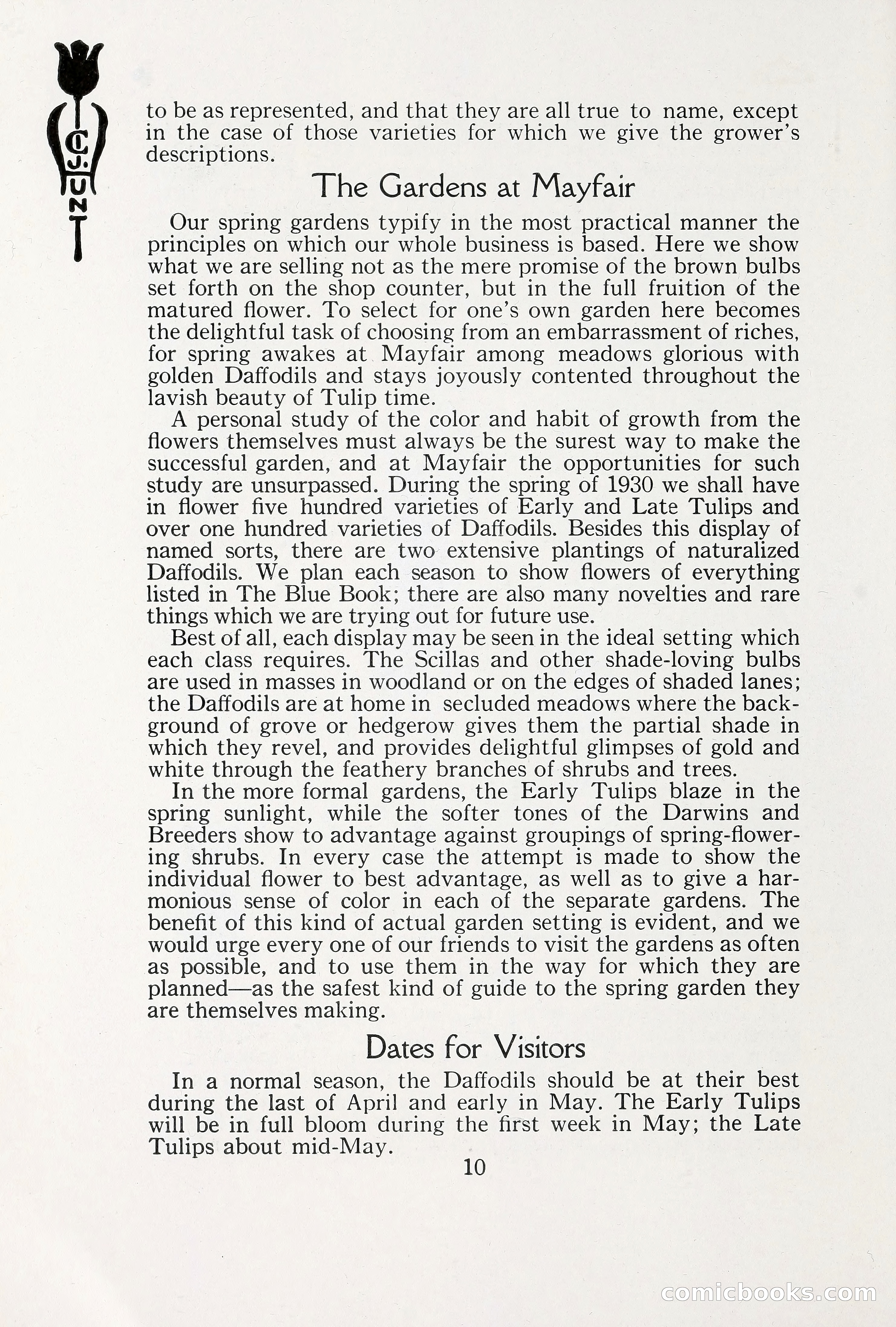 Blue Book of Bulbs, 1930 — page 15 of 137