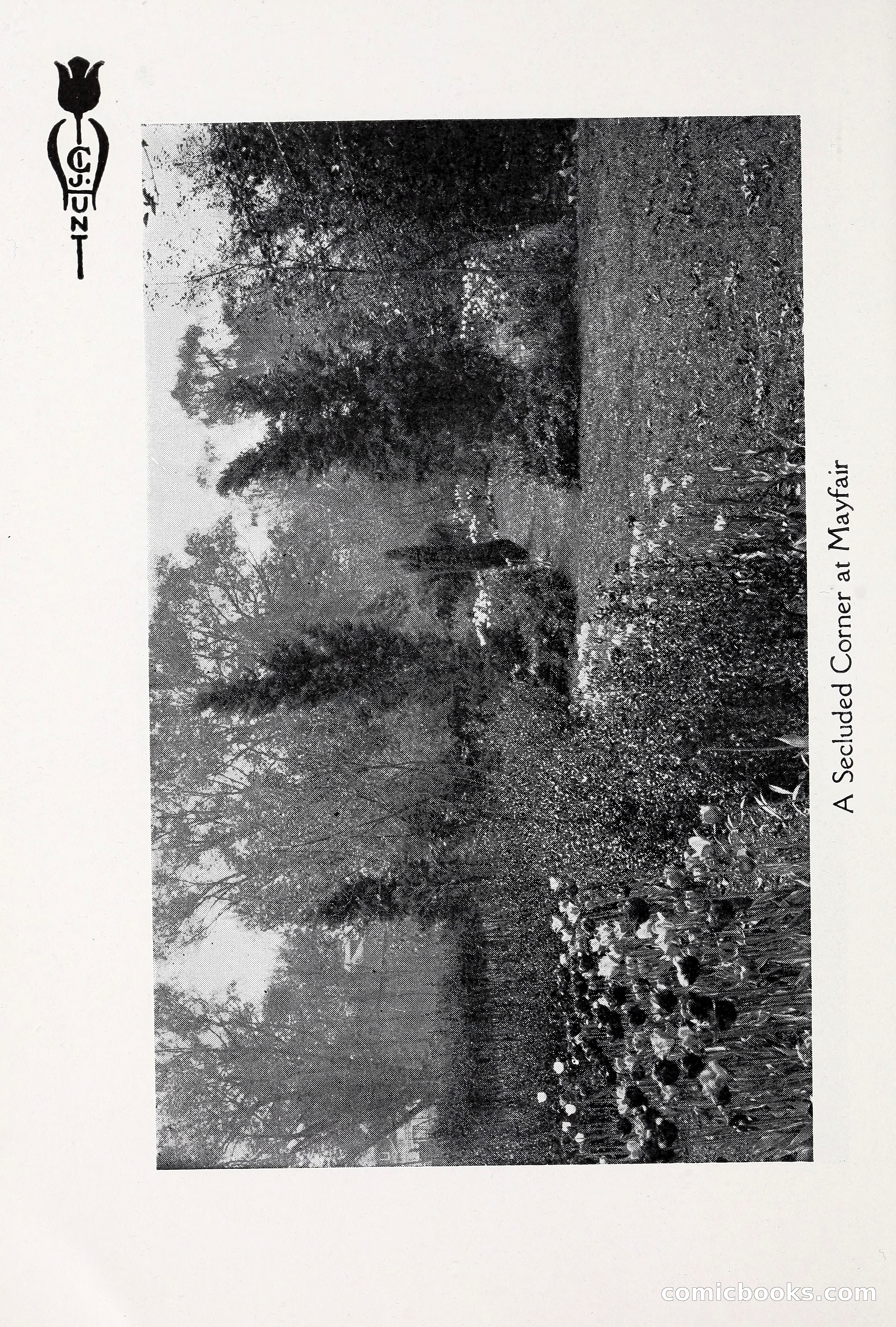 Blue Book of Bulbs, 1930 — page 17 of 137