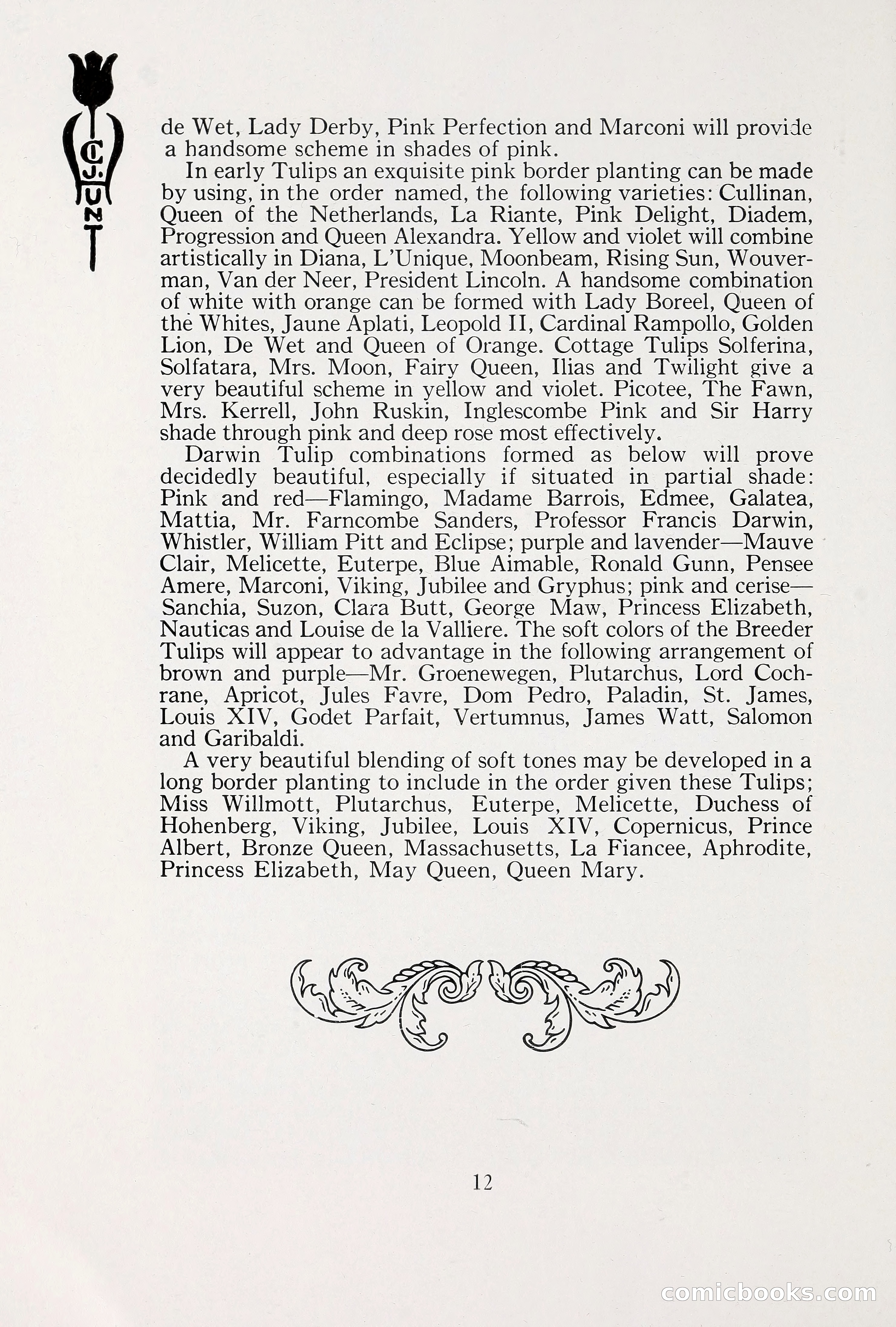 Blue Book of Bulbs, 1930 — page 19 of 137