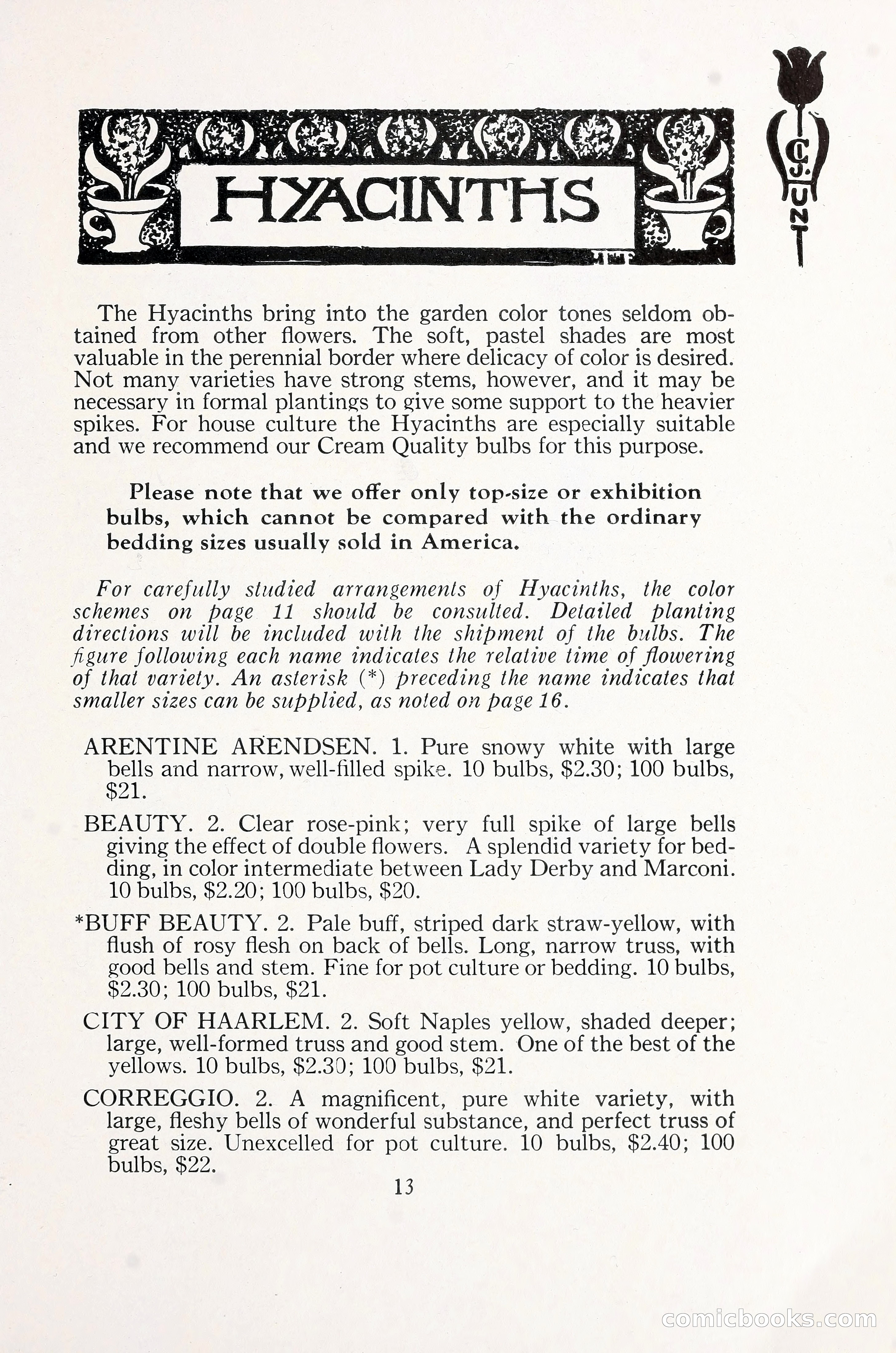 Blue Book of Bulbs, 1930 — page 20 of 137