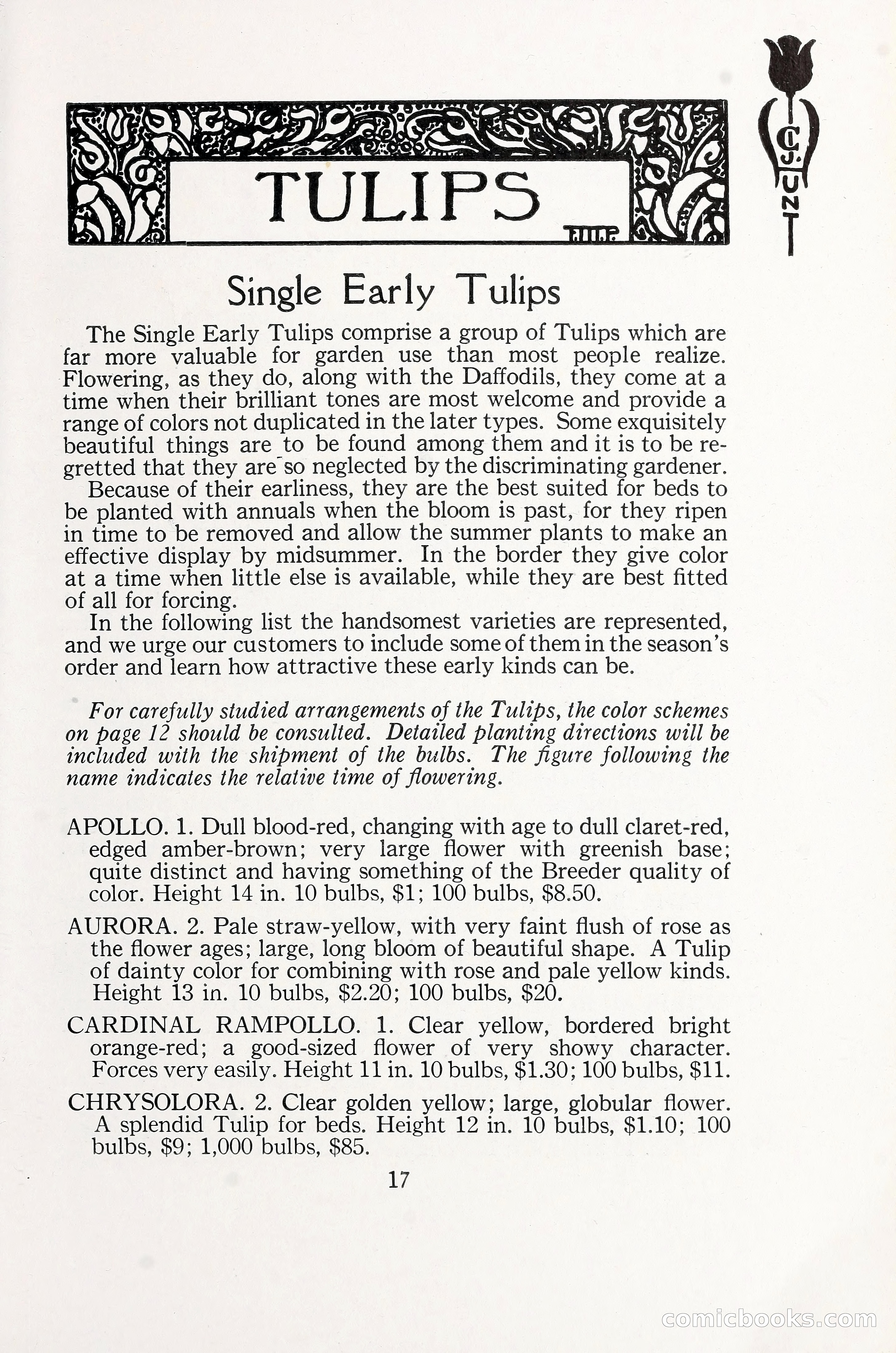 Blue Book of Bulbs, 1930 — page 26 of 137