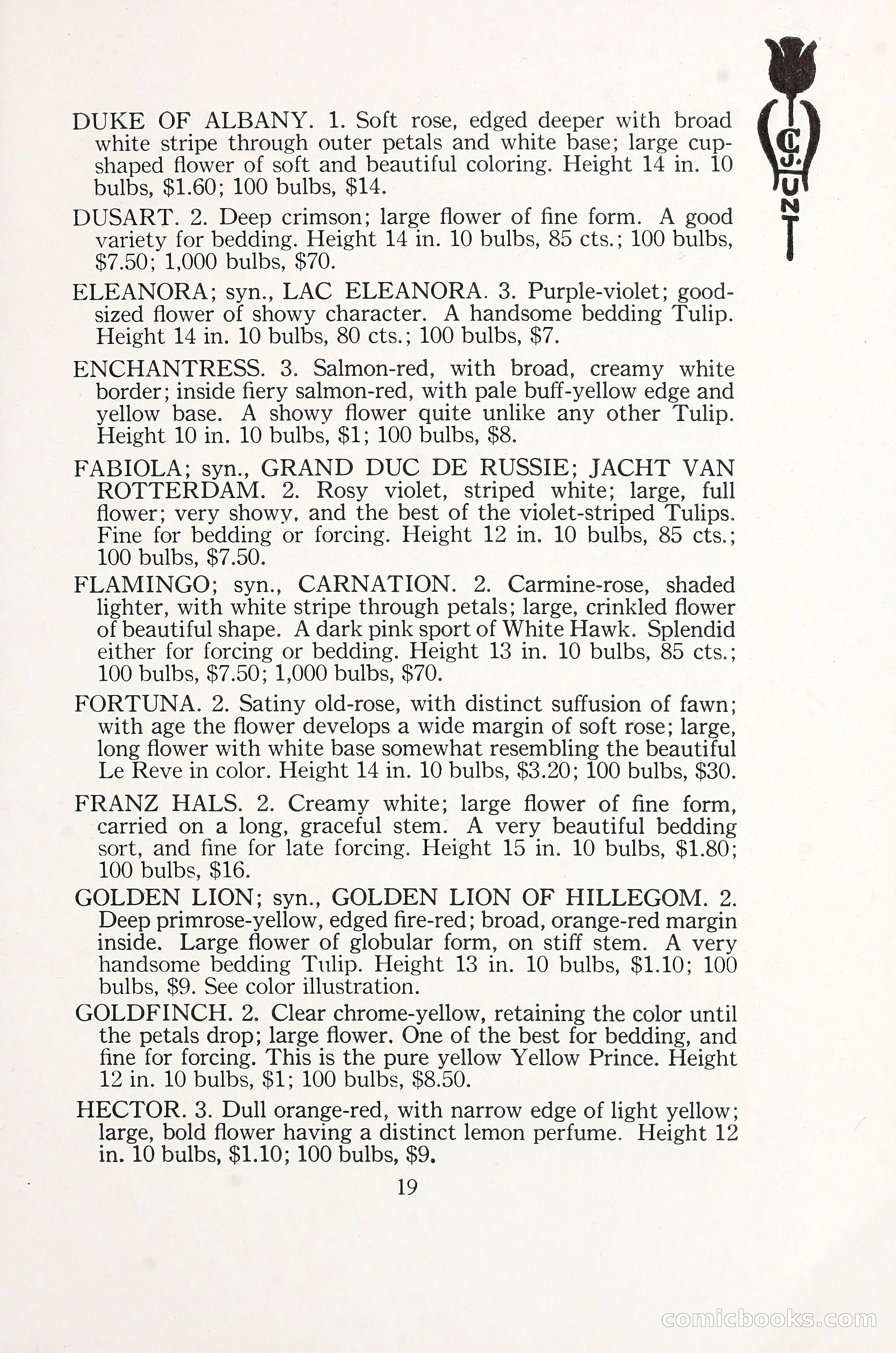 Blue Book of Bulbs, 1930 — page 28 of 137