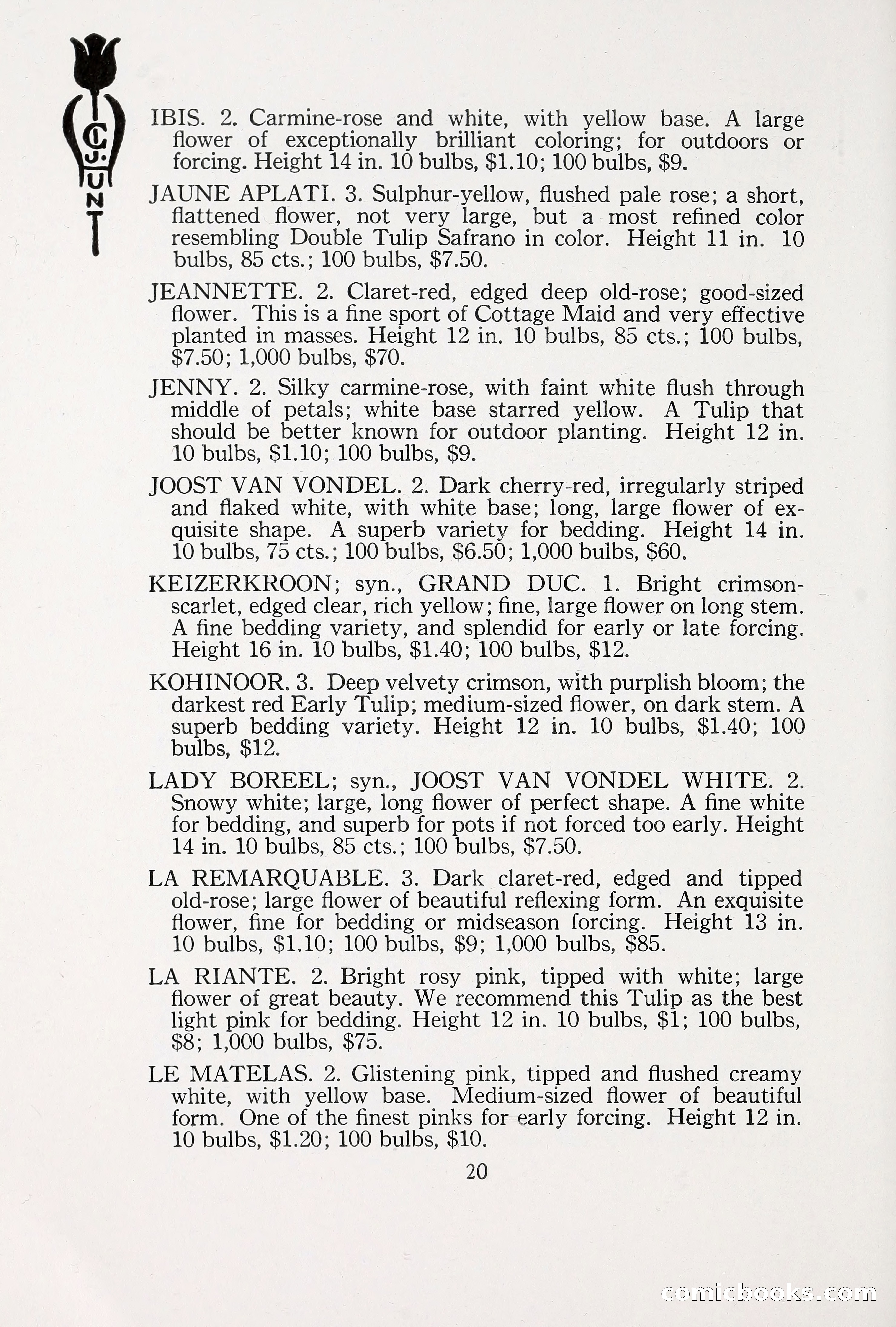 Blue Book of Bulbs, 1930 — page 29 of 137