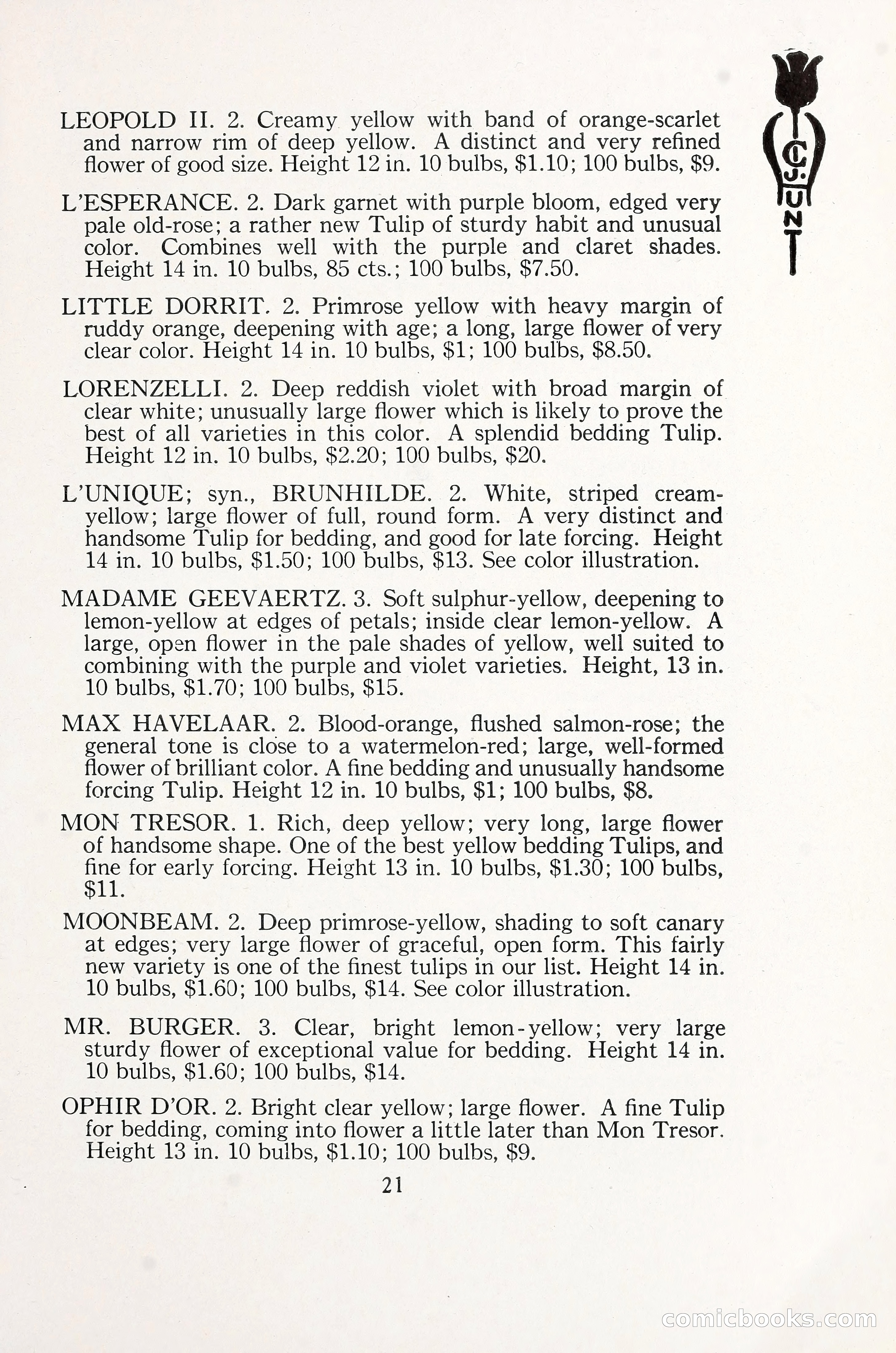 Blue Book of Bulbs, 1930 — page 30 of 137