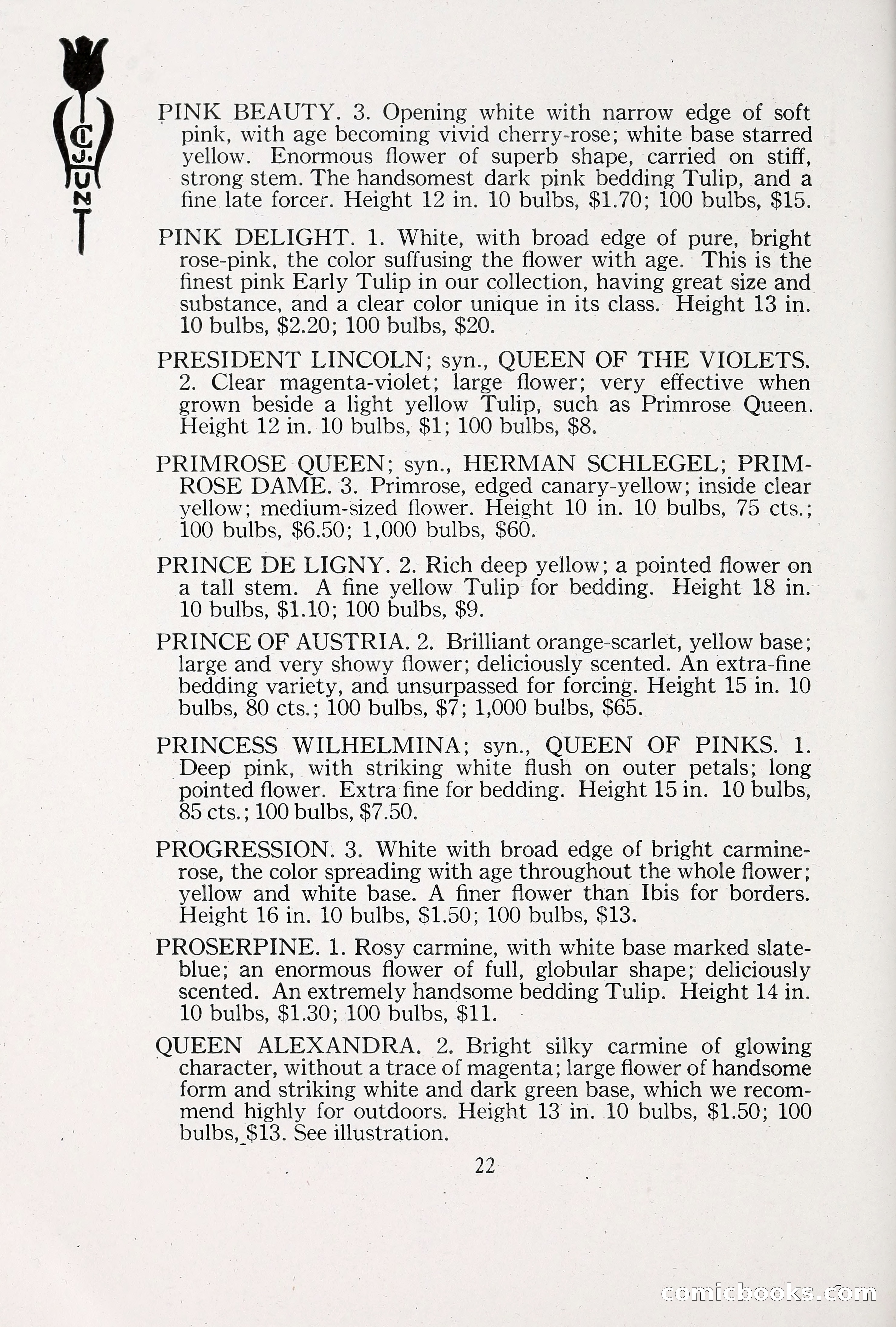 Blue Book of Bulbs, 1930 — page 31 of 137