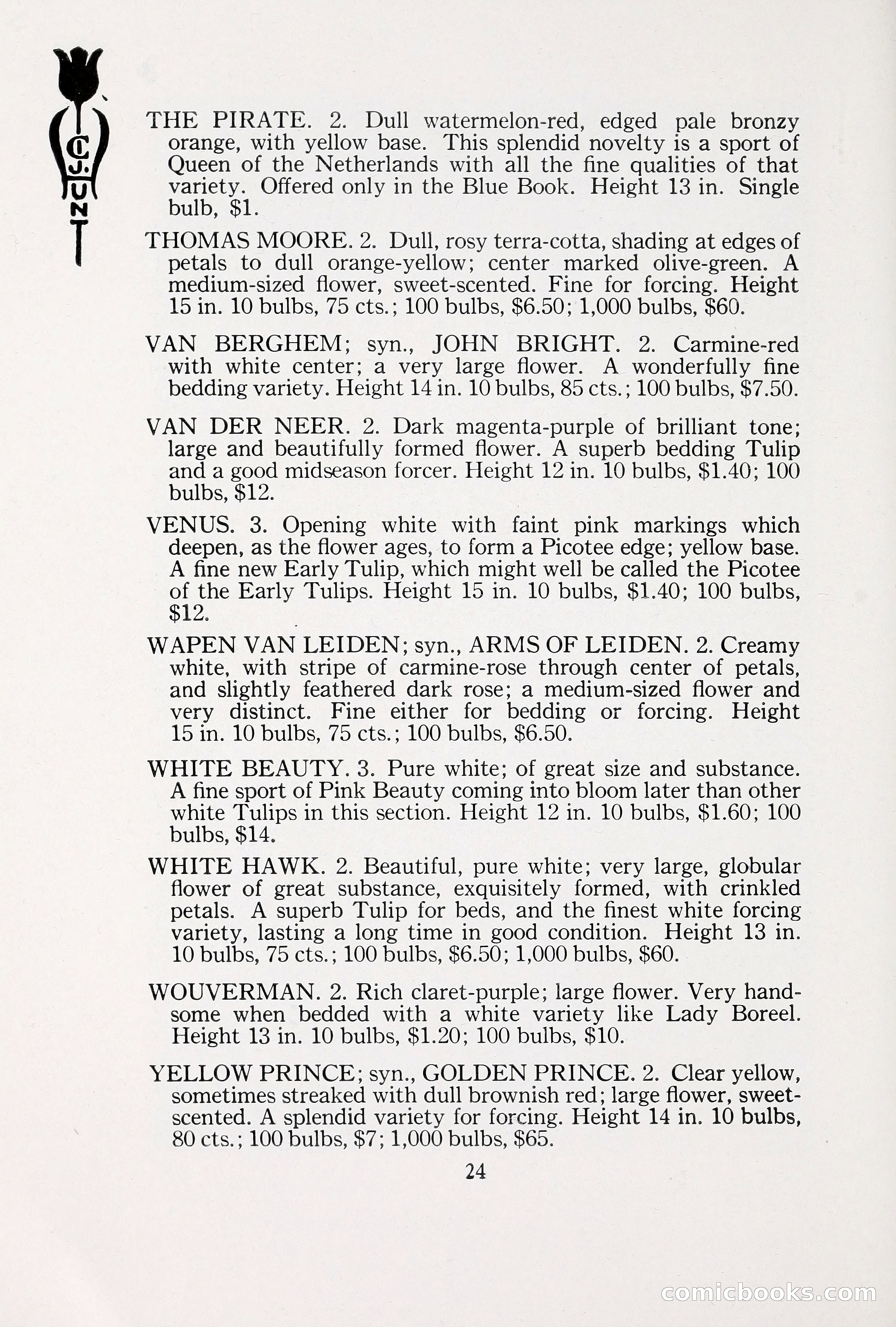 Blue Book of Bulbs, 1930 — page 35 of 137
