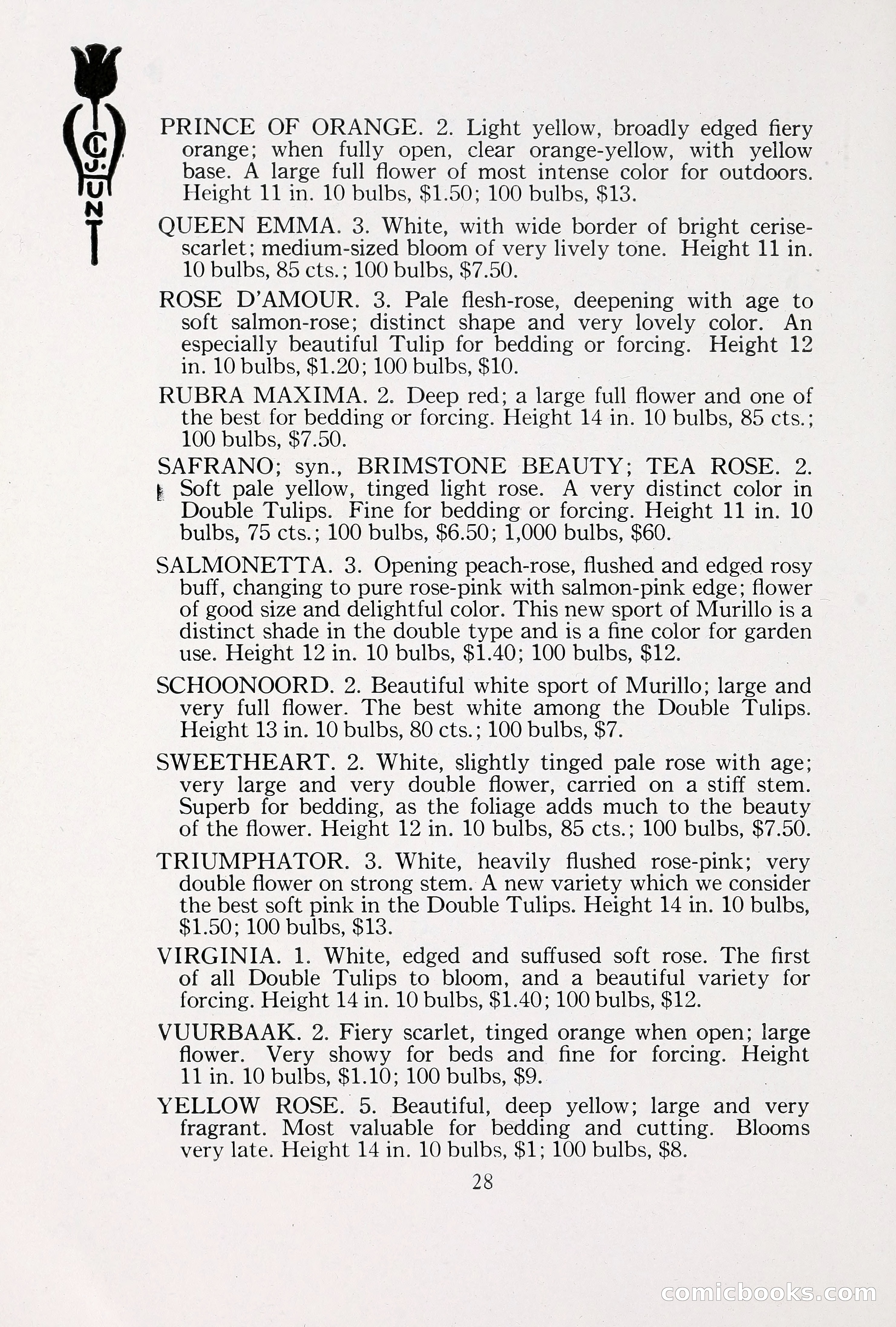 Blue Book of Bulbs, 1930 — page 39 of 137
