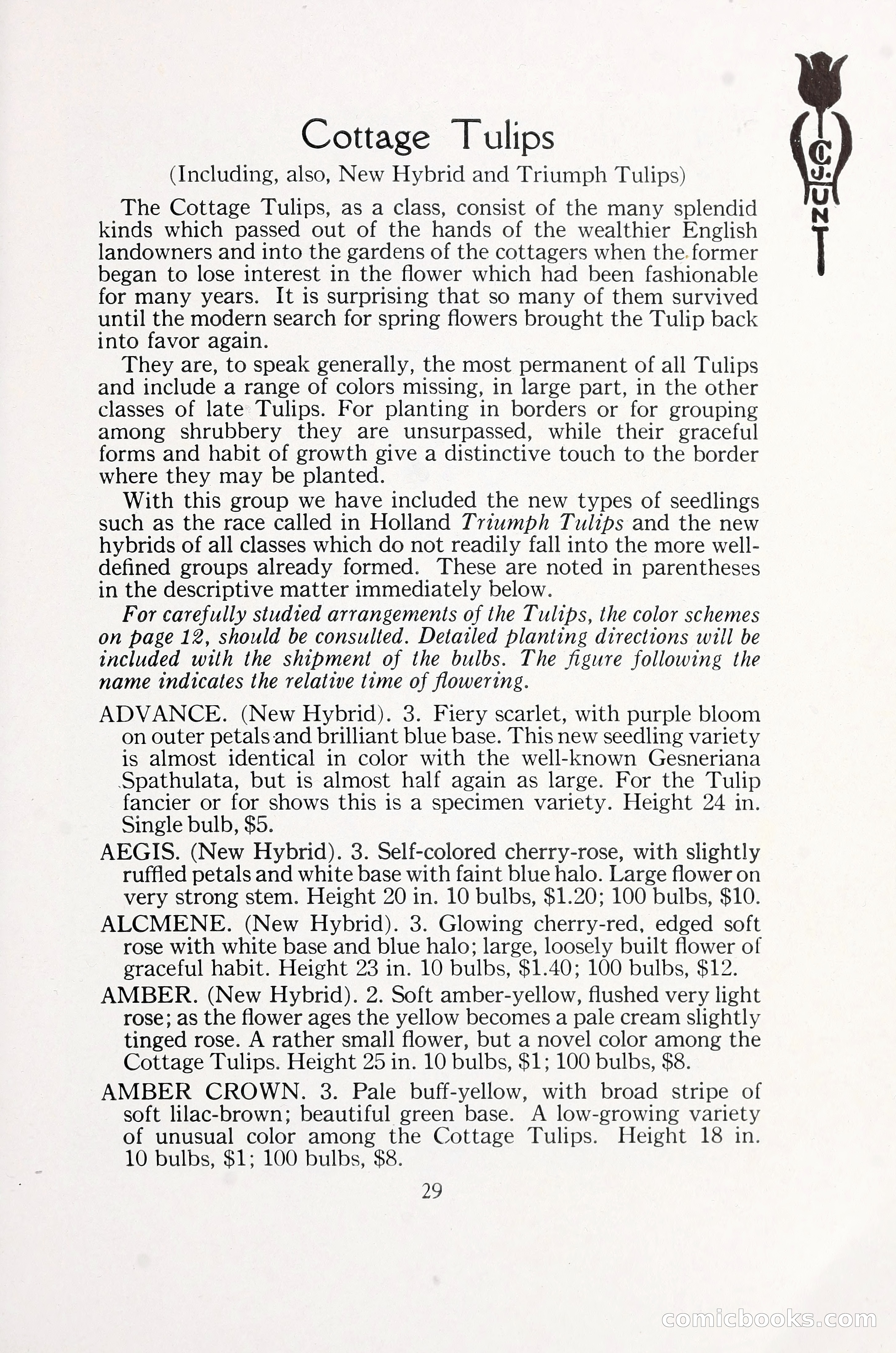 Blue Book of Bulbs, 1930 — page 40 of 137