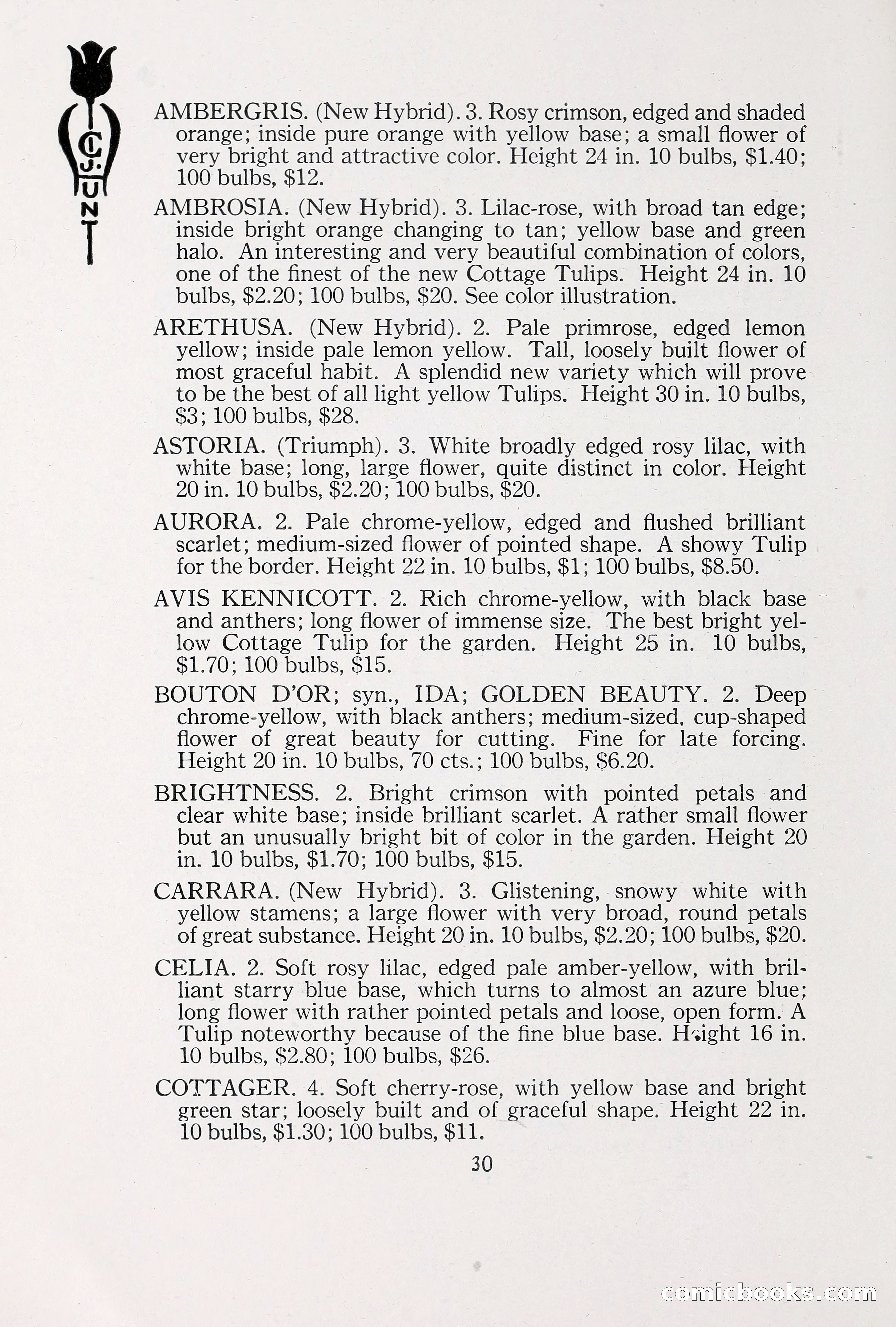 Blue Book of Bulbs, 1930 — page 41 of 137