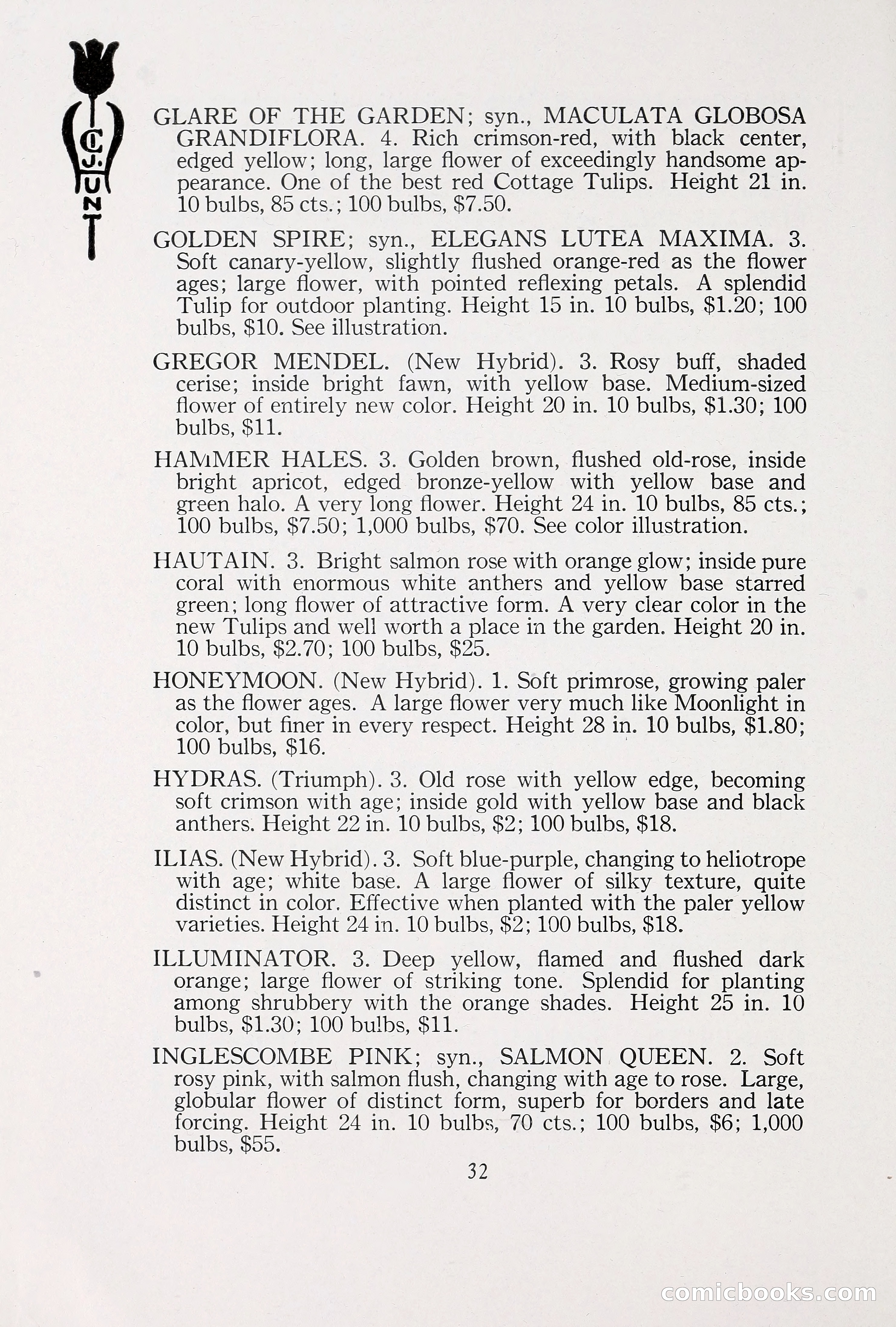 Blue Book of Bulbs, 1930 — page 45 of 137