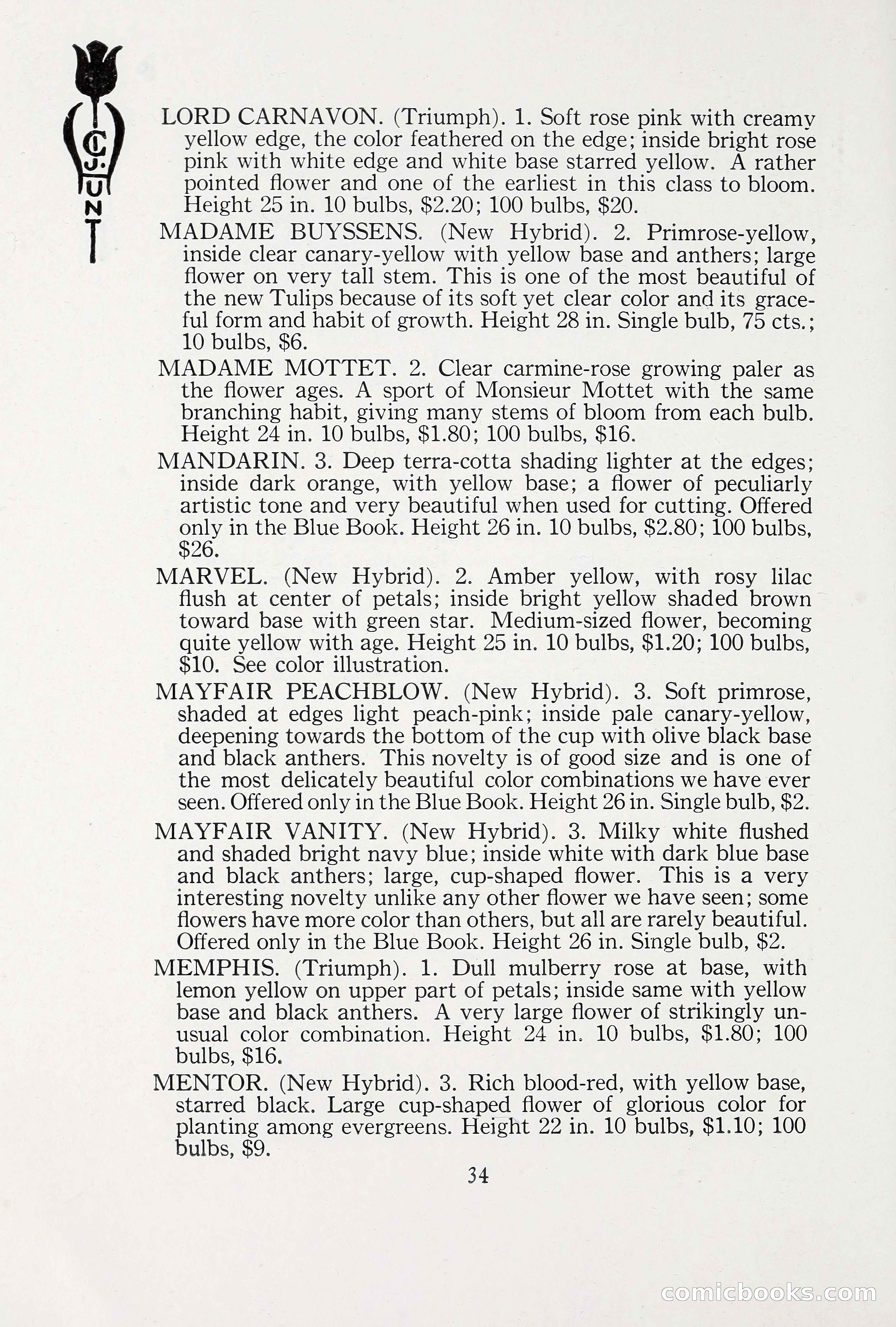 Blue Book of Bulbs, 1930 — page 47 of 137
