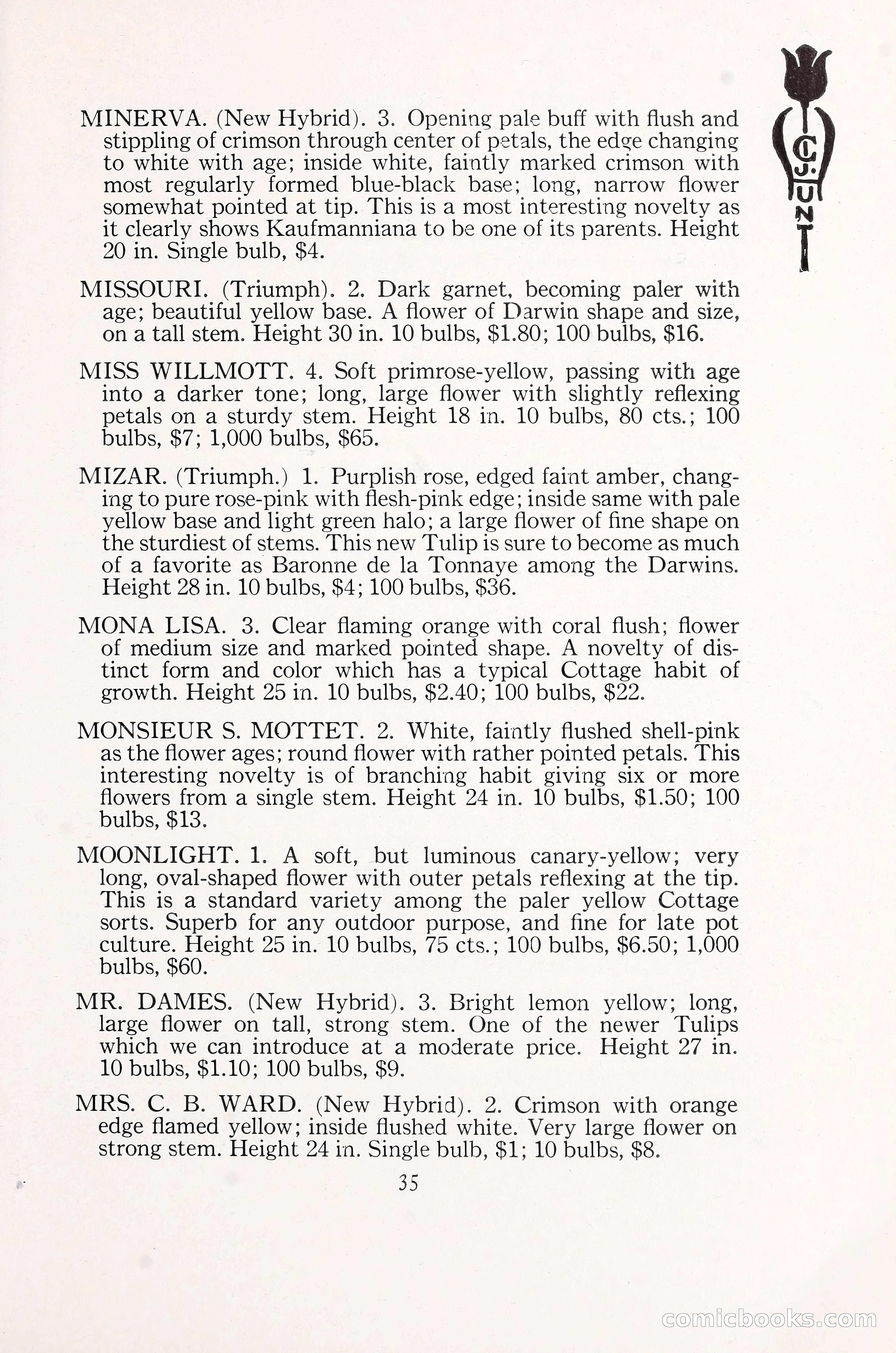 Blue Book of Bulbs, 1930 — page 48 of 137