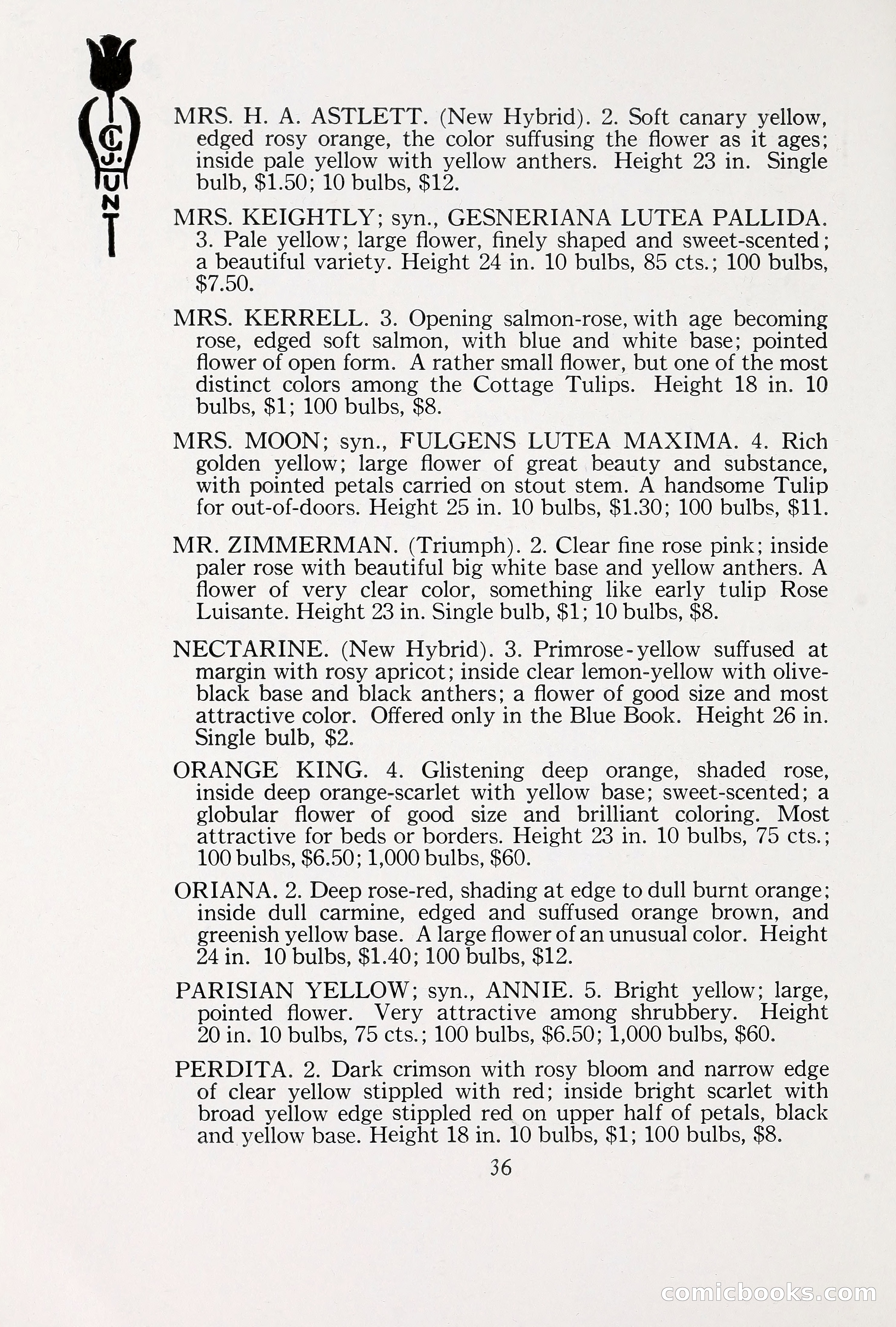Blue Book of Bulbs, 1930 — page 49 of 137
