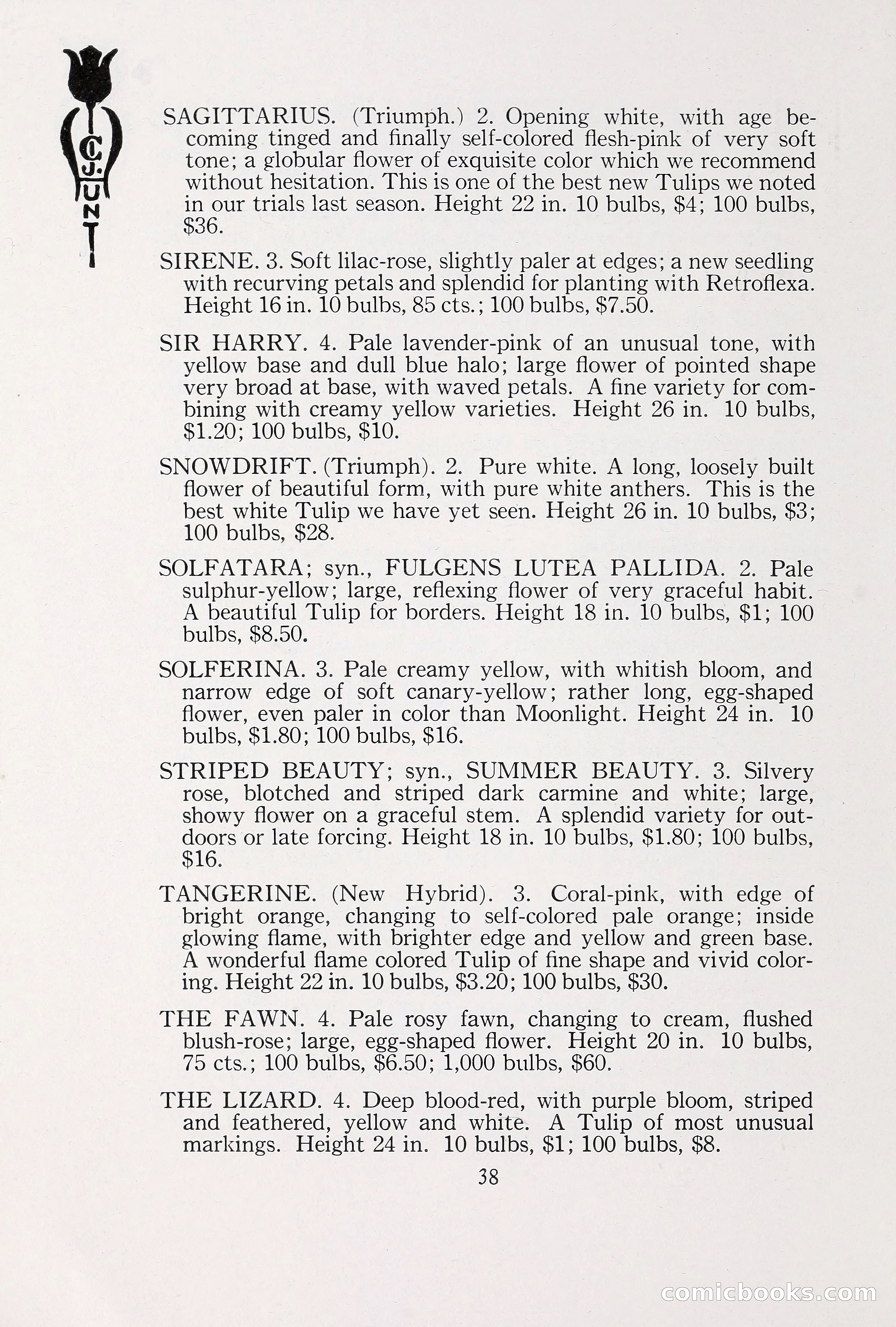 Blue Book of Bulbs, 1930 — page 51 of 137