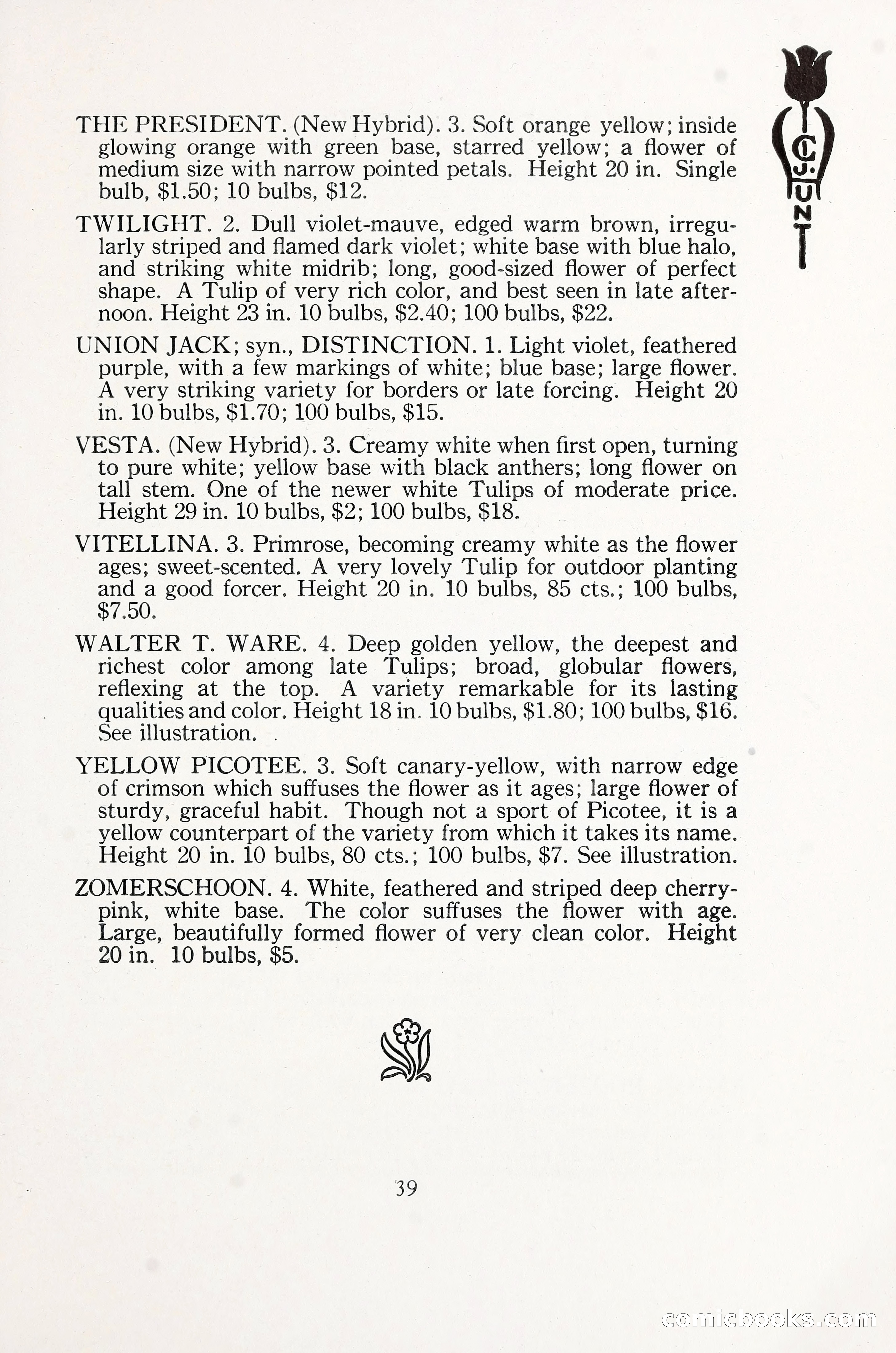 Blue Book of Bulbs, 1930 — page 54 of 137