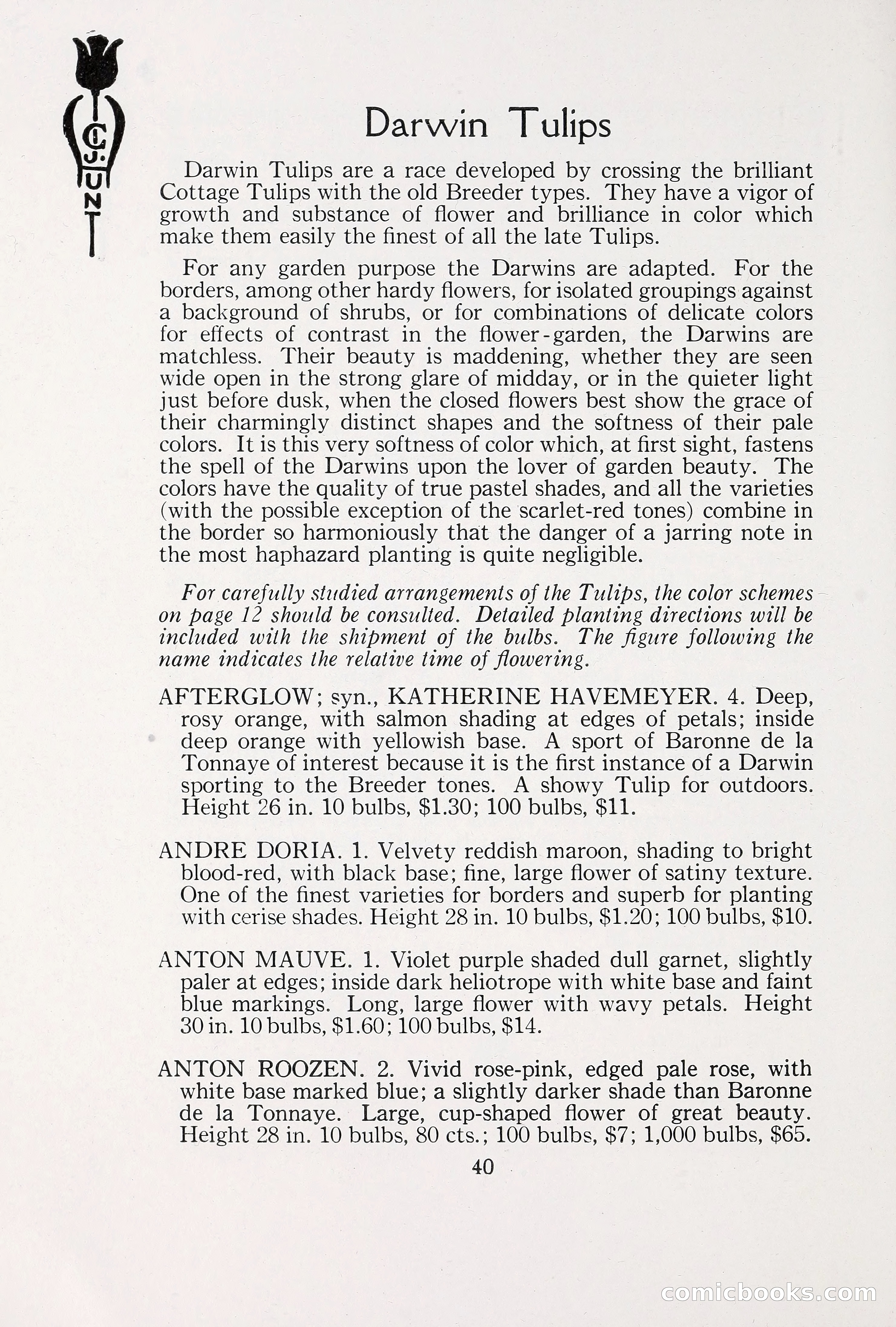 Blue Book of Bulbs, 1930 — page 55 of 137