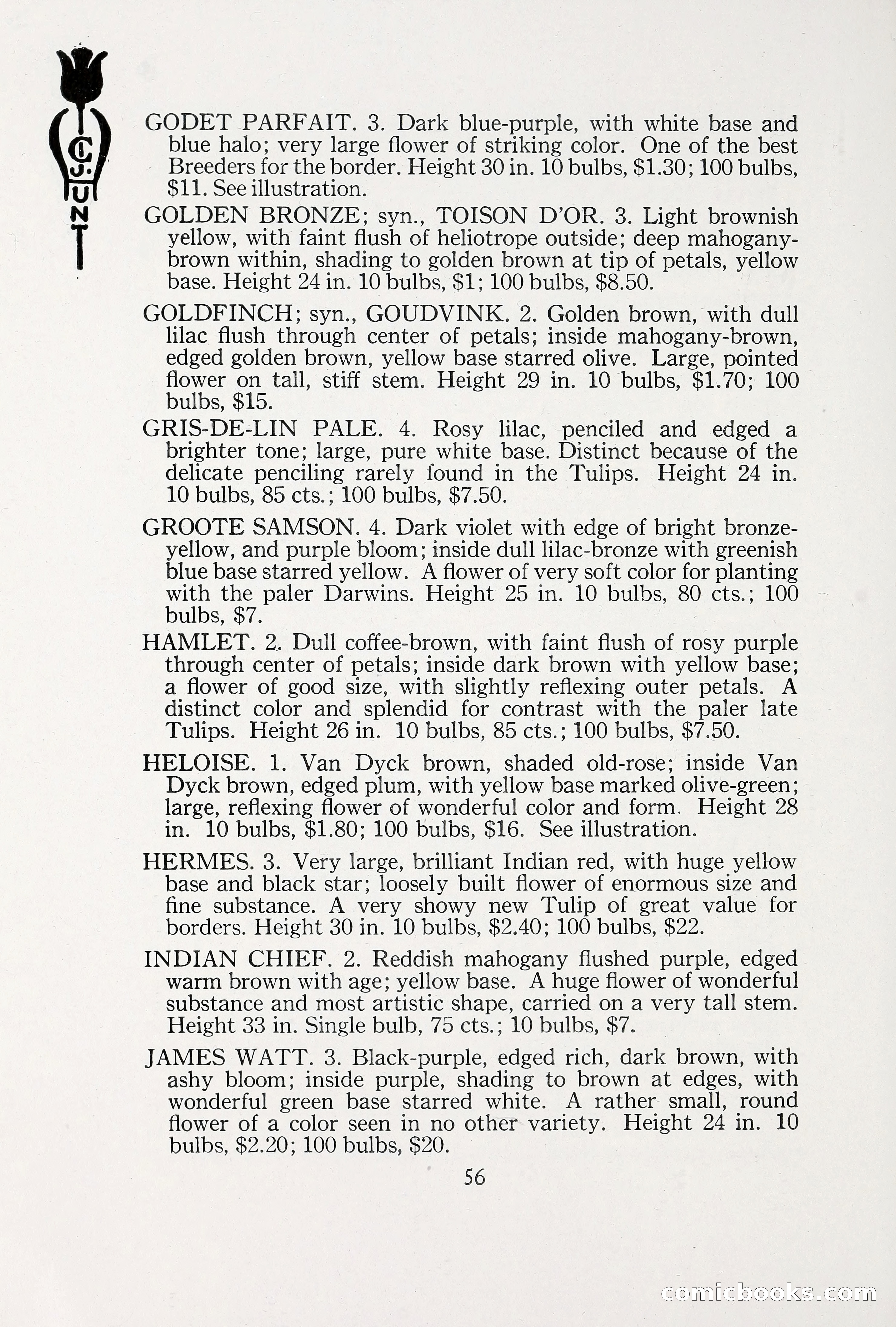 Blue Book of Bulbs, 1930 — page 77 of 137