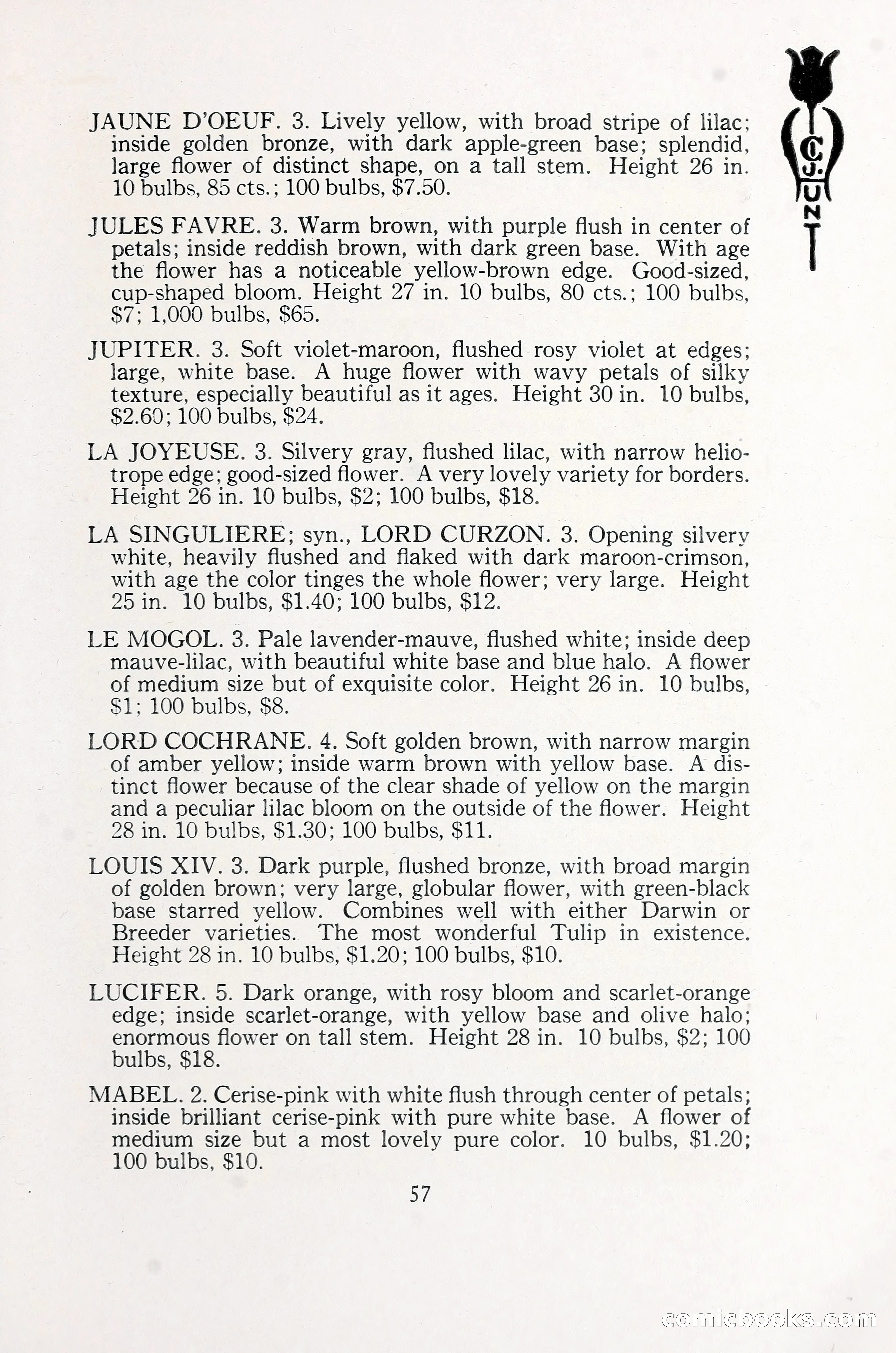 Blue Book of Bulbs, 1930 — page 82 of 137
