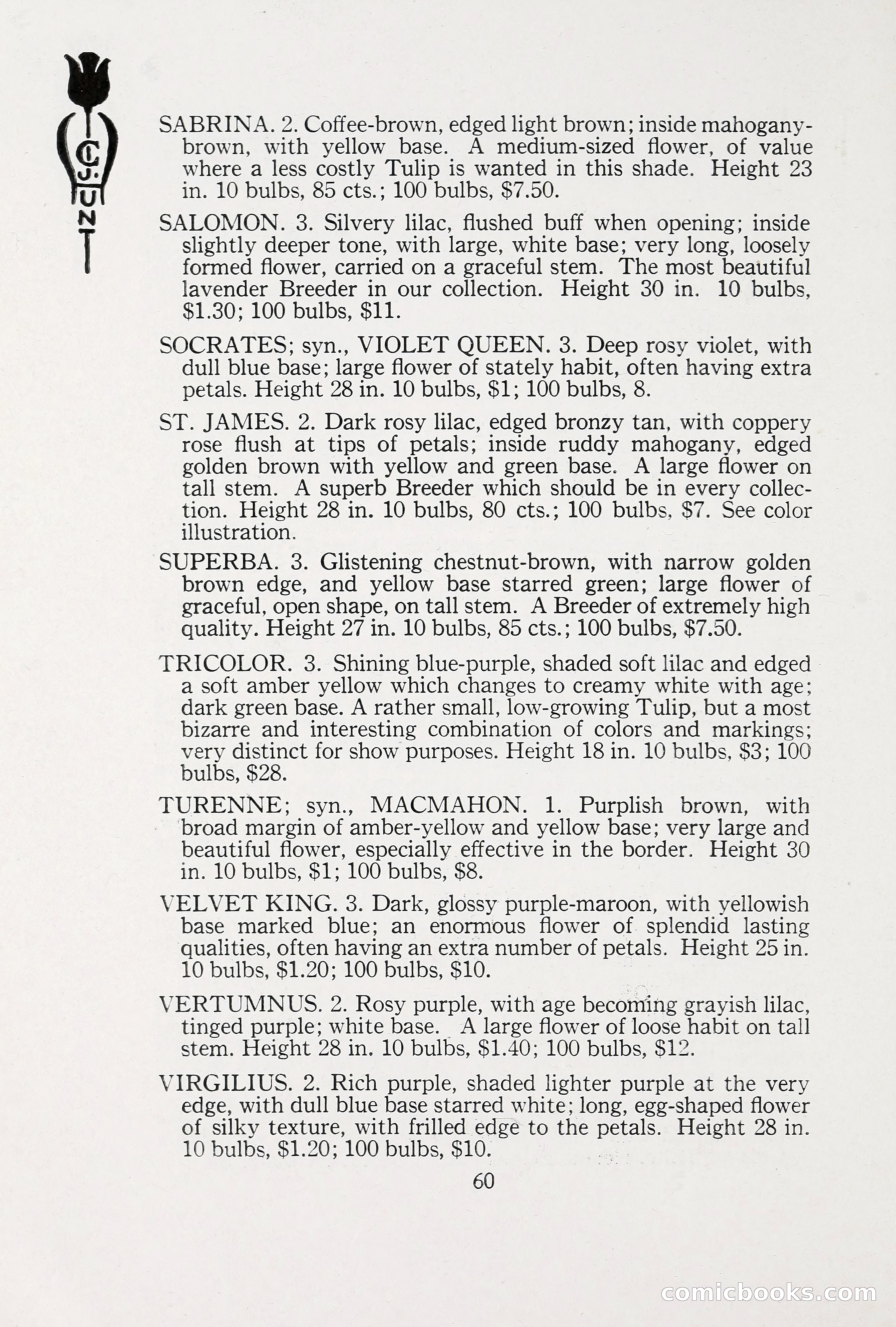 Blue Book of Bulbs, 1930 — page 85 of 137
