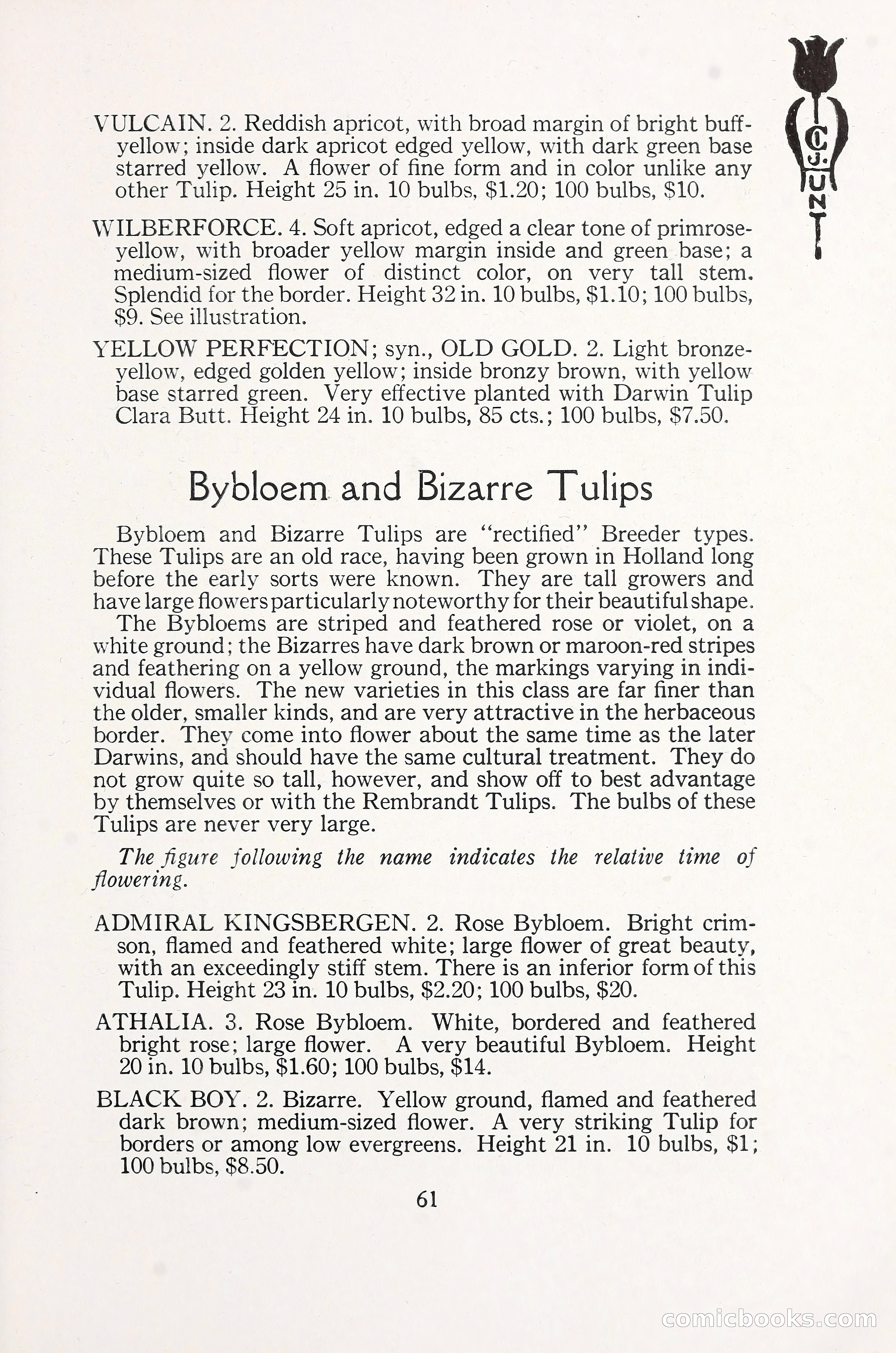 Blue Book of Bulbs, 1930 — page 86 of 137