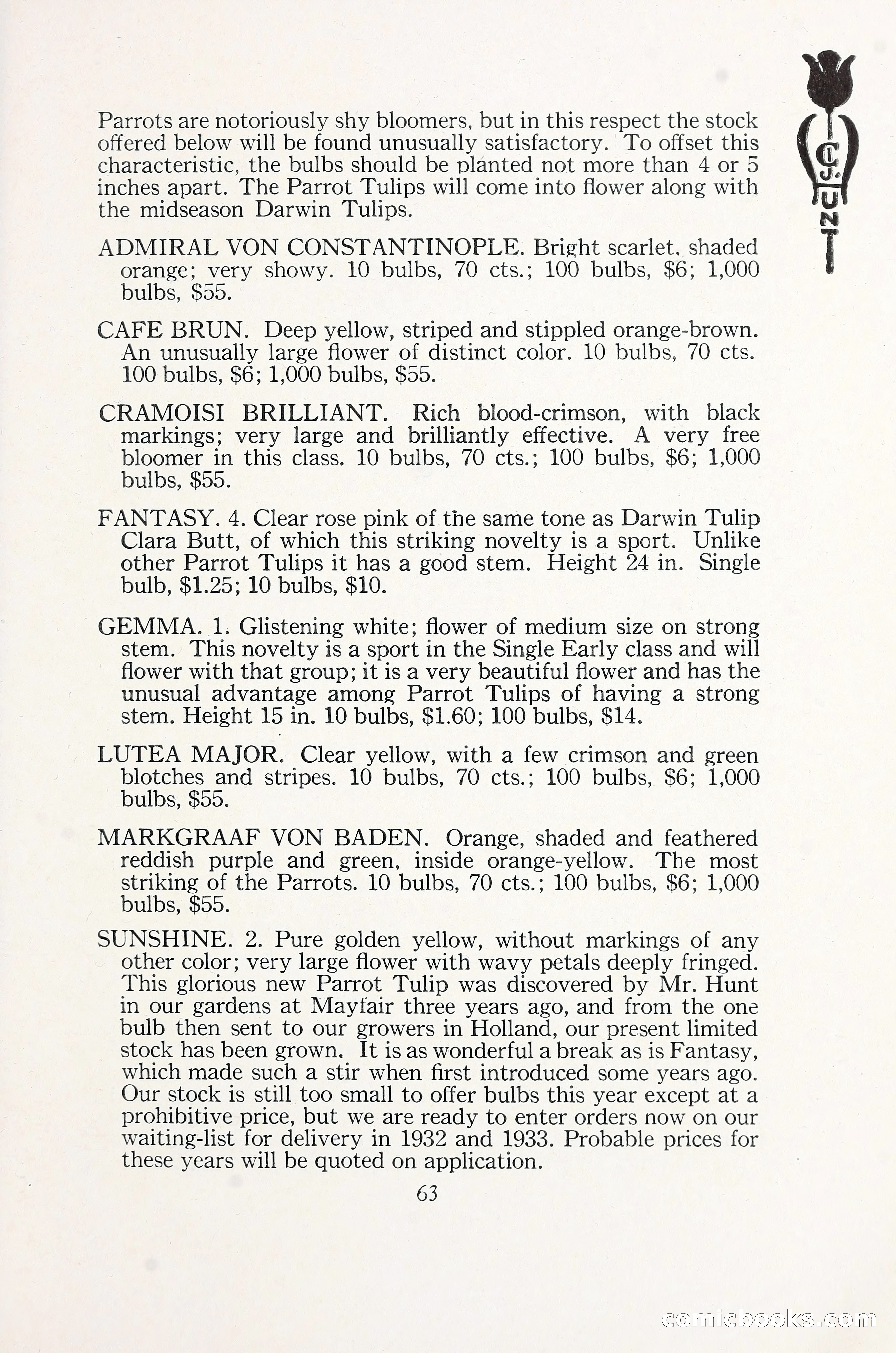 Blue Book of Bulbs, 1930 — page 88 of 137